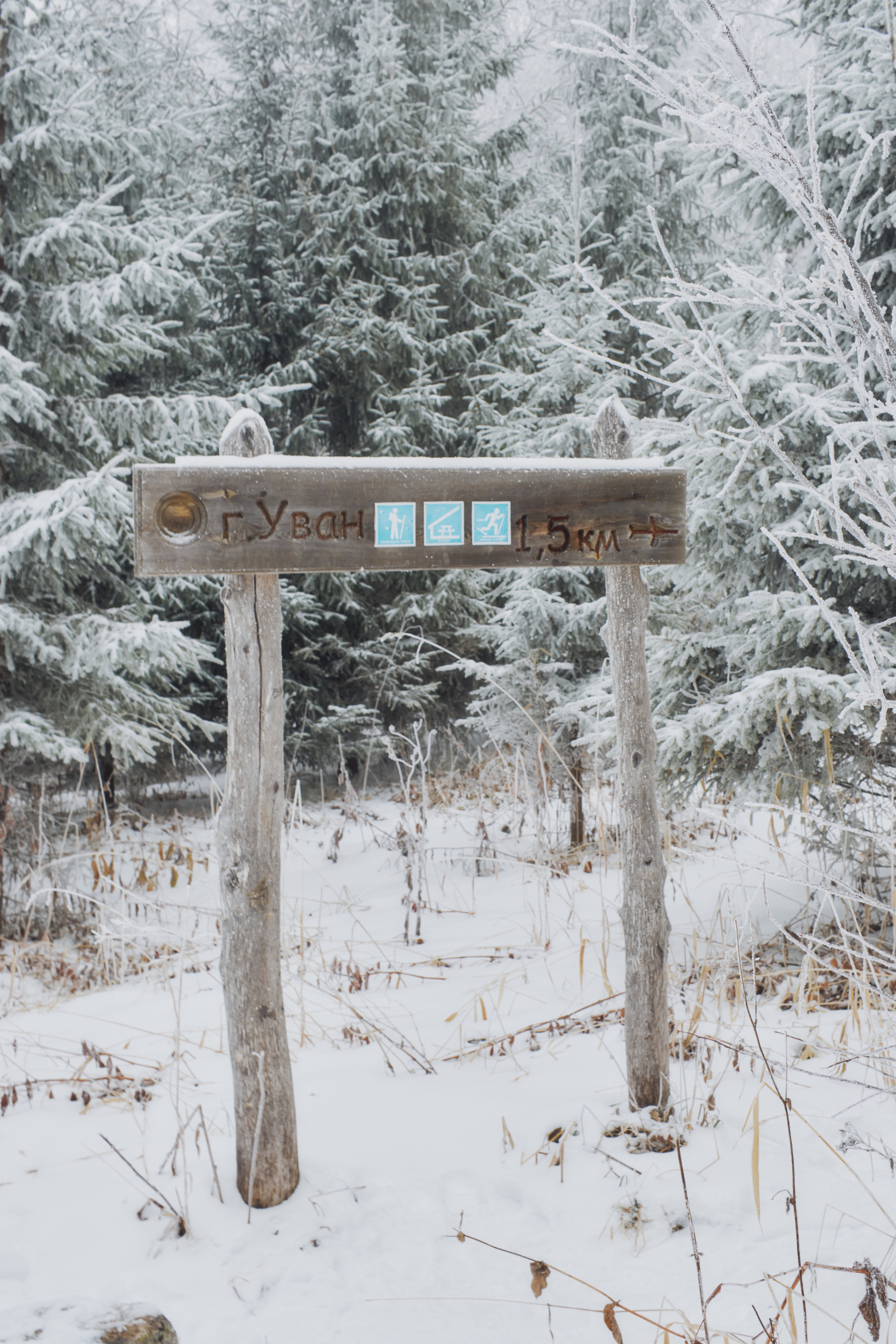 Алимпьев кордон. Andrew Sozonov visual artist