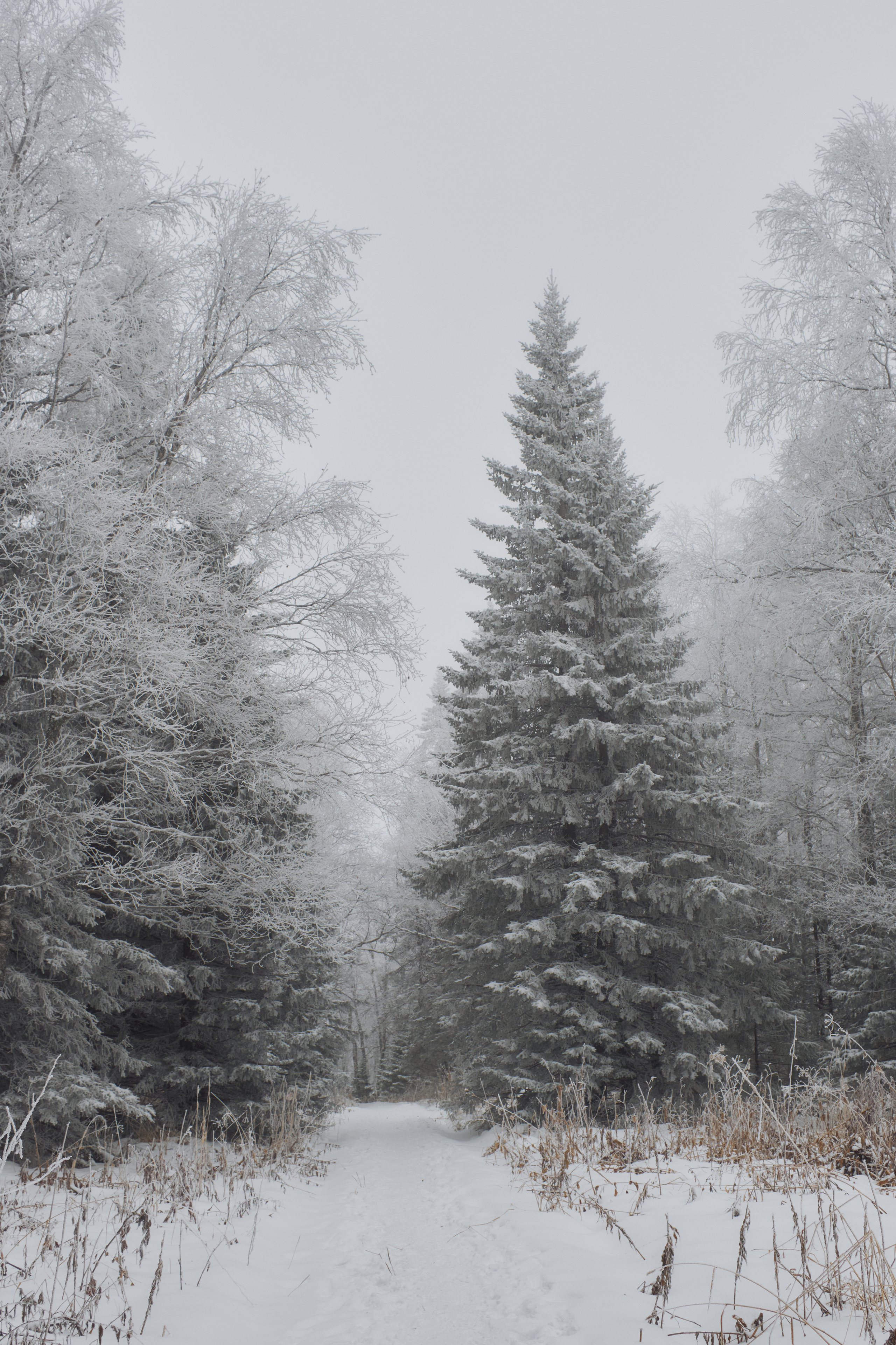 Алимпьев кордон. Andrew Sozonov visual artist