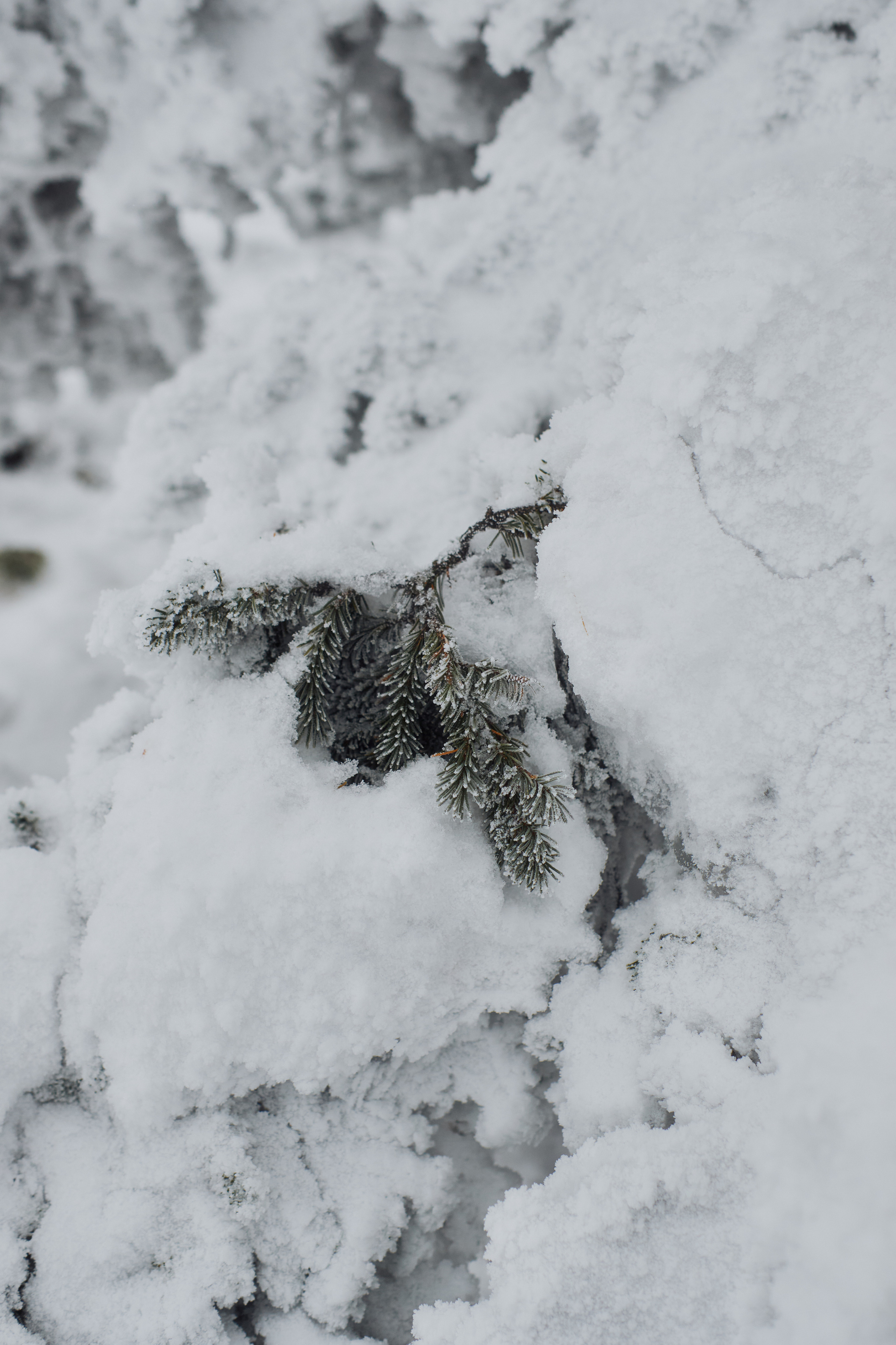 Алимпьев кордон. Andrew Sozonov visual artist