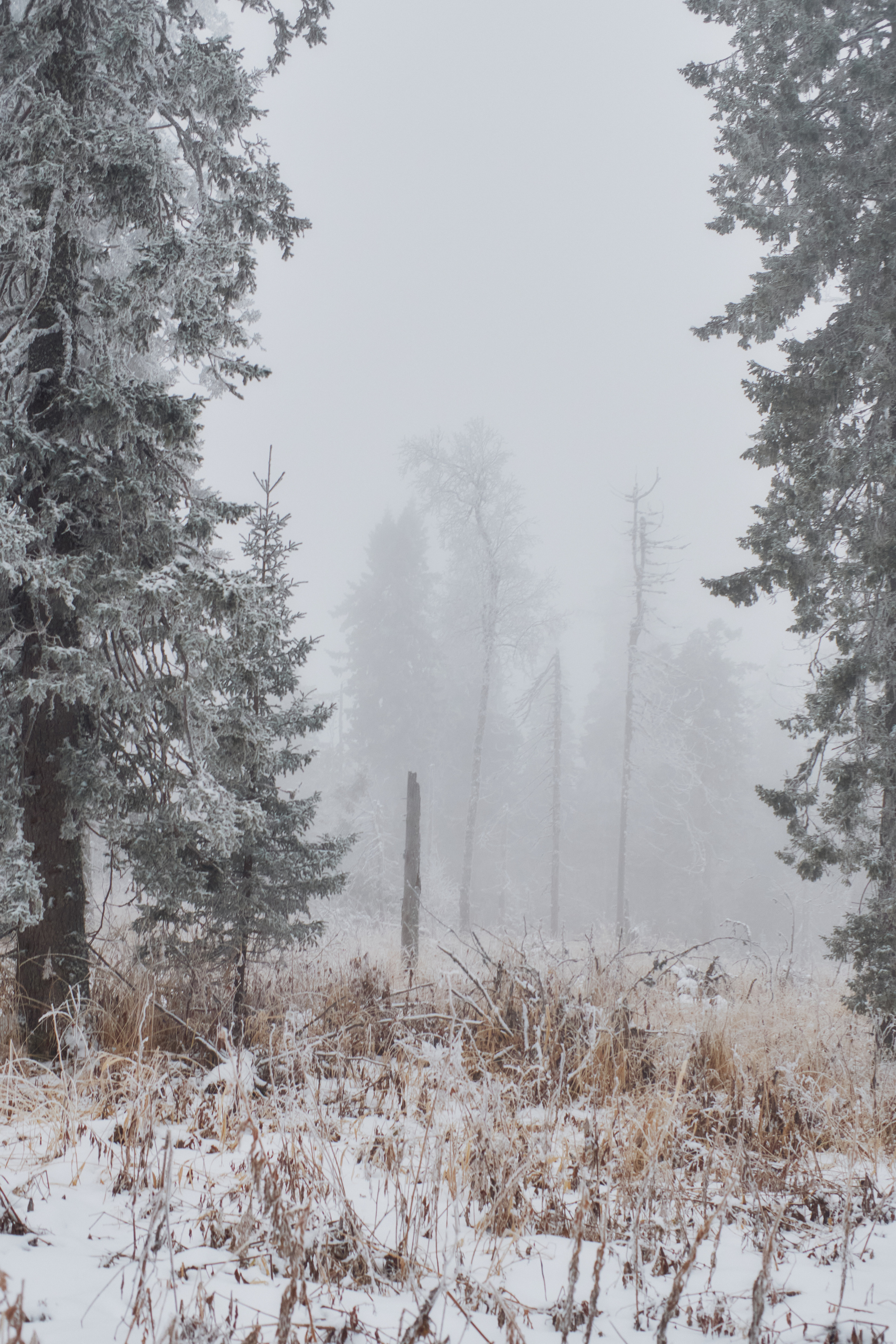 Алимпьев кордон. Andrew Sozonov visual artist