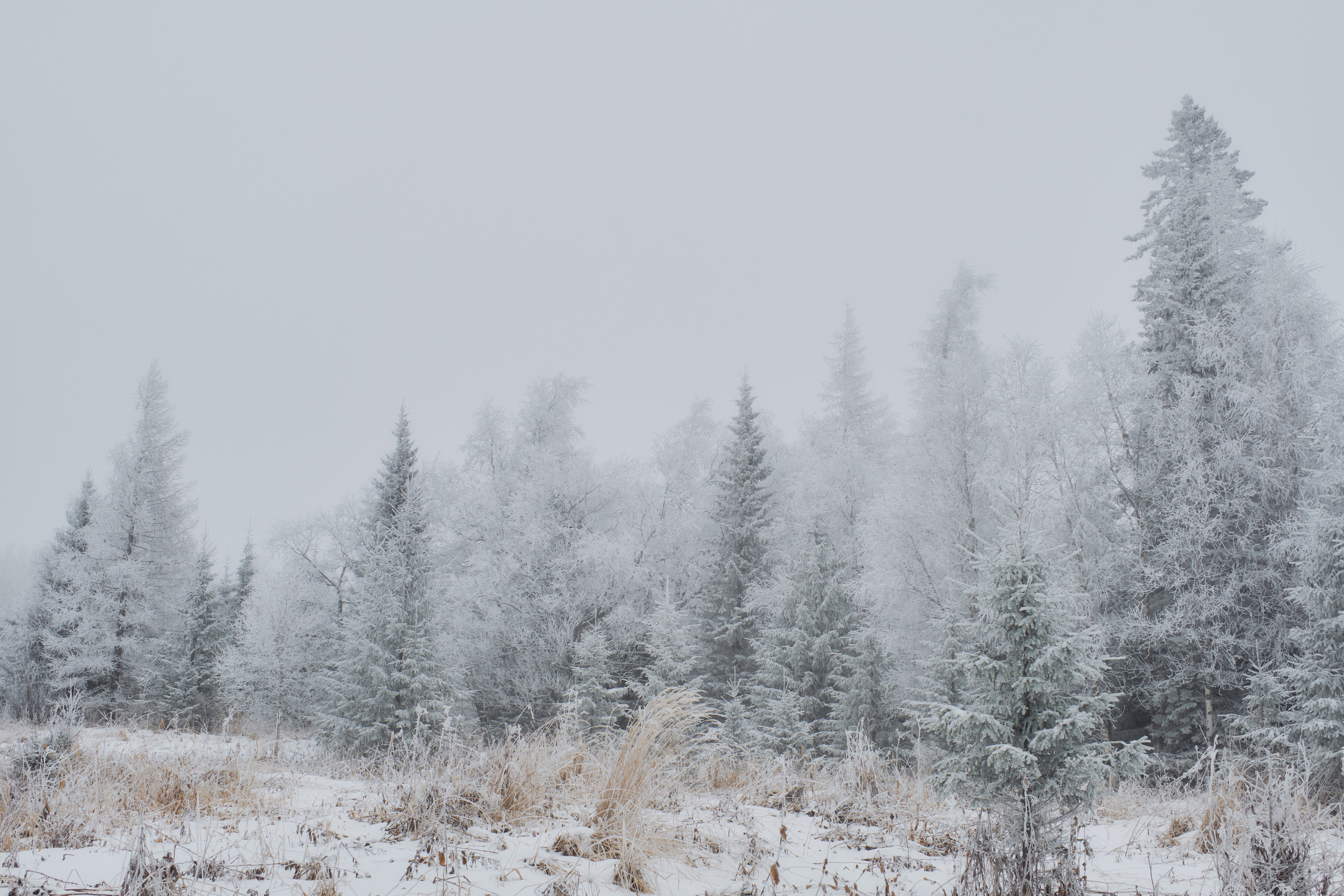 Алимпьев кордон. Andrew Sozonov visual artist