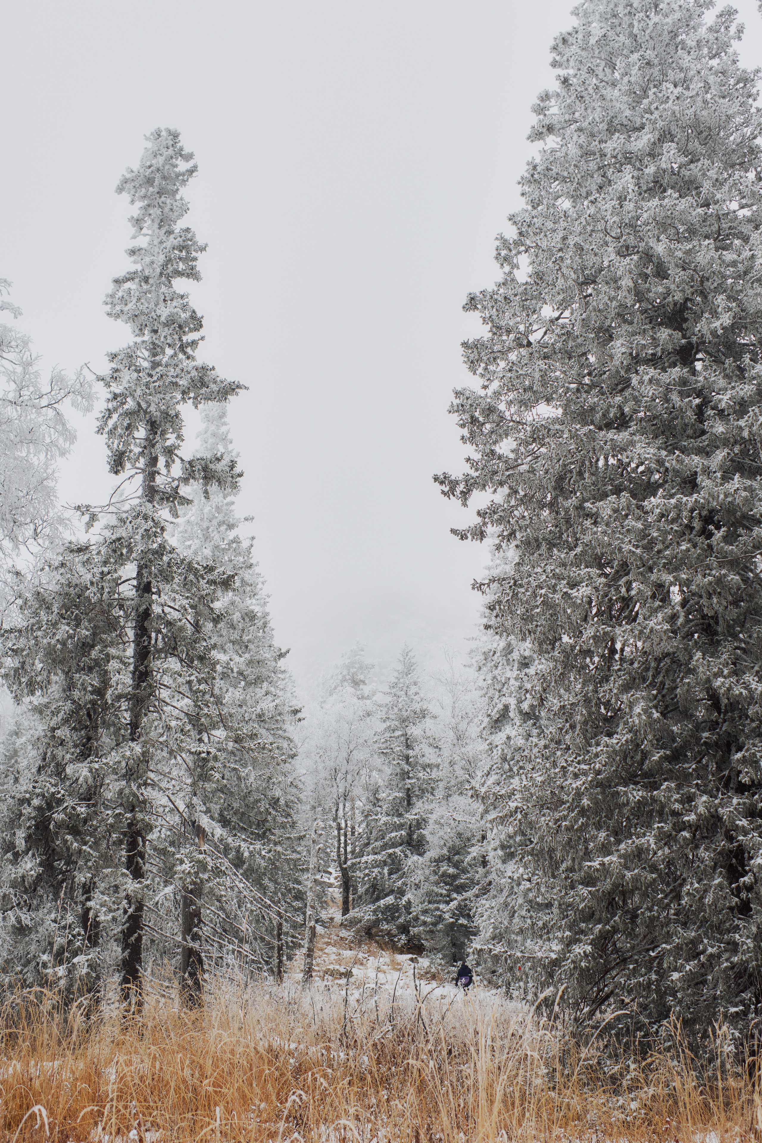 Алимпьев кордон. Andrew Sozonov visual artist