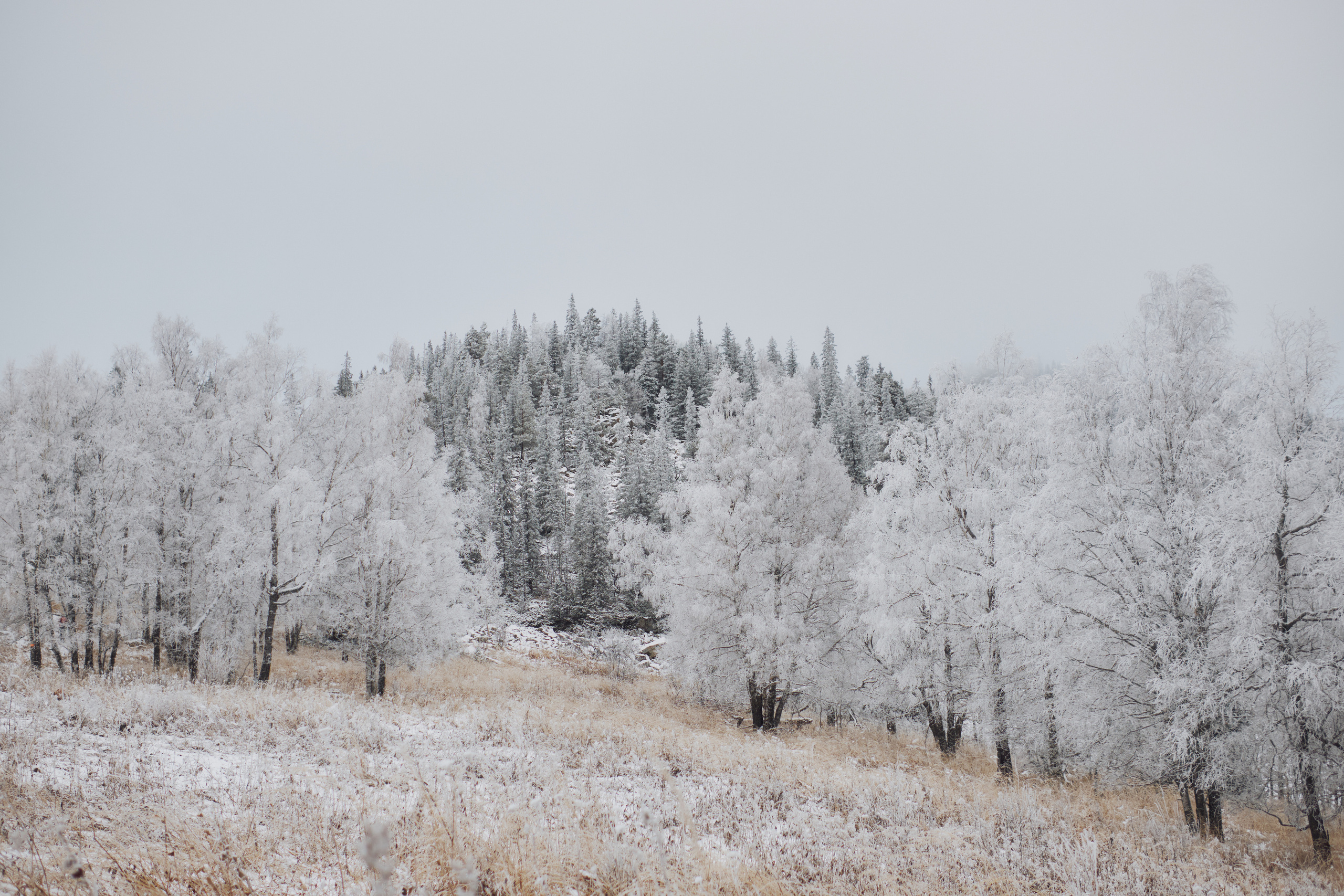 Алимпьев кордон. Andrew Sozonov visual artist