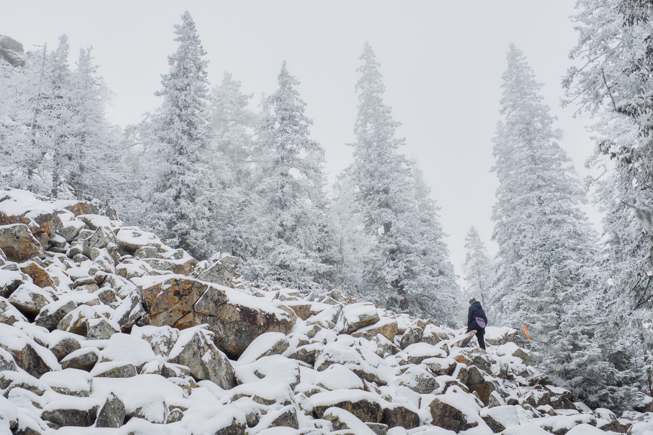 Алимпьев кордон. Andrew Sozonov visual artist