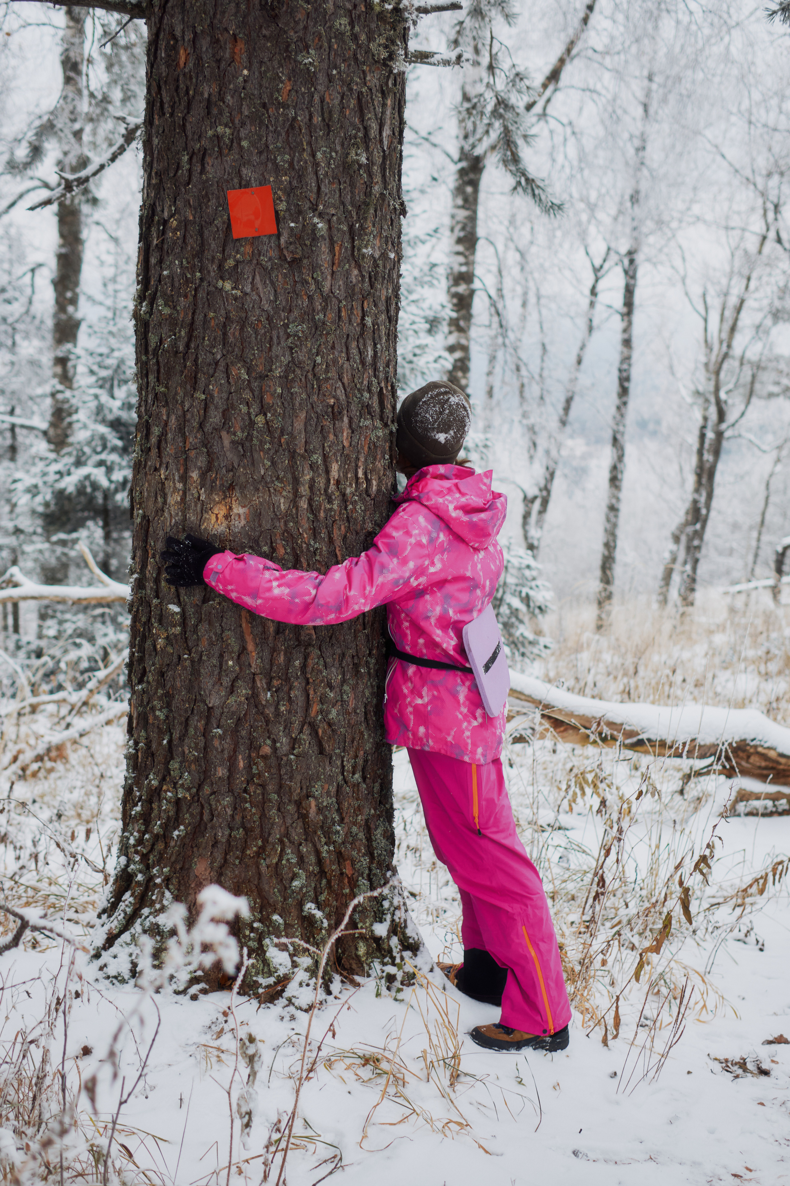 Алимпьев кордон. Andrew Sozonov visual artist