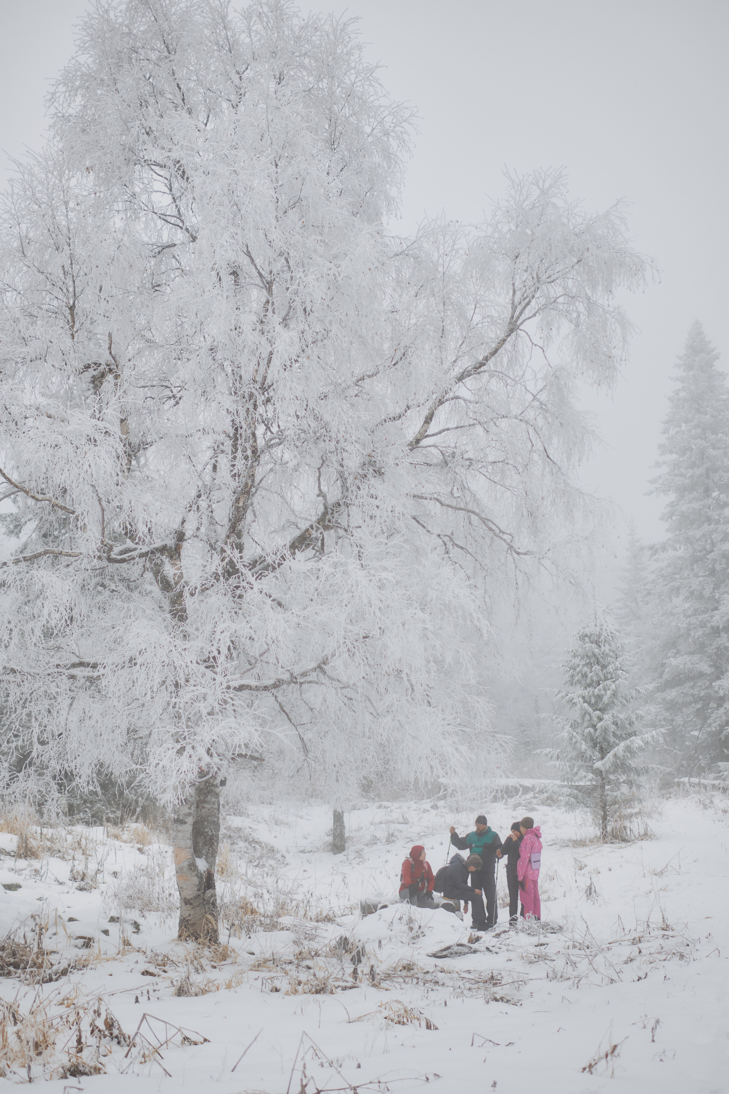 Алимпьев кордон. Andrew Sozonov visual artist
