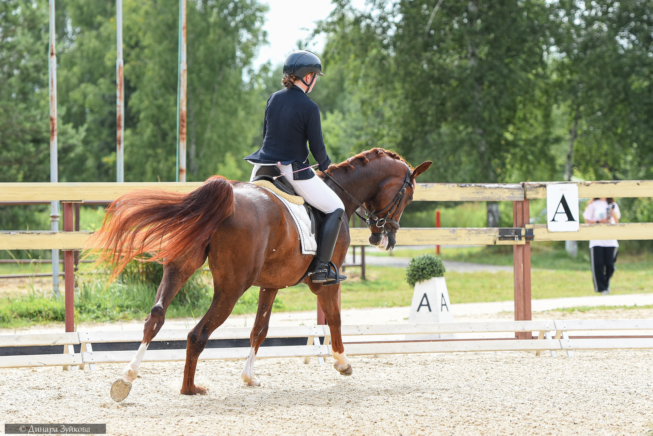 КЭК Ассамблея. Тесты, дети. Мотофотограф в Нижнем Новгороде Динара Зуйкова