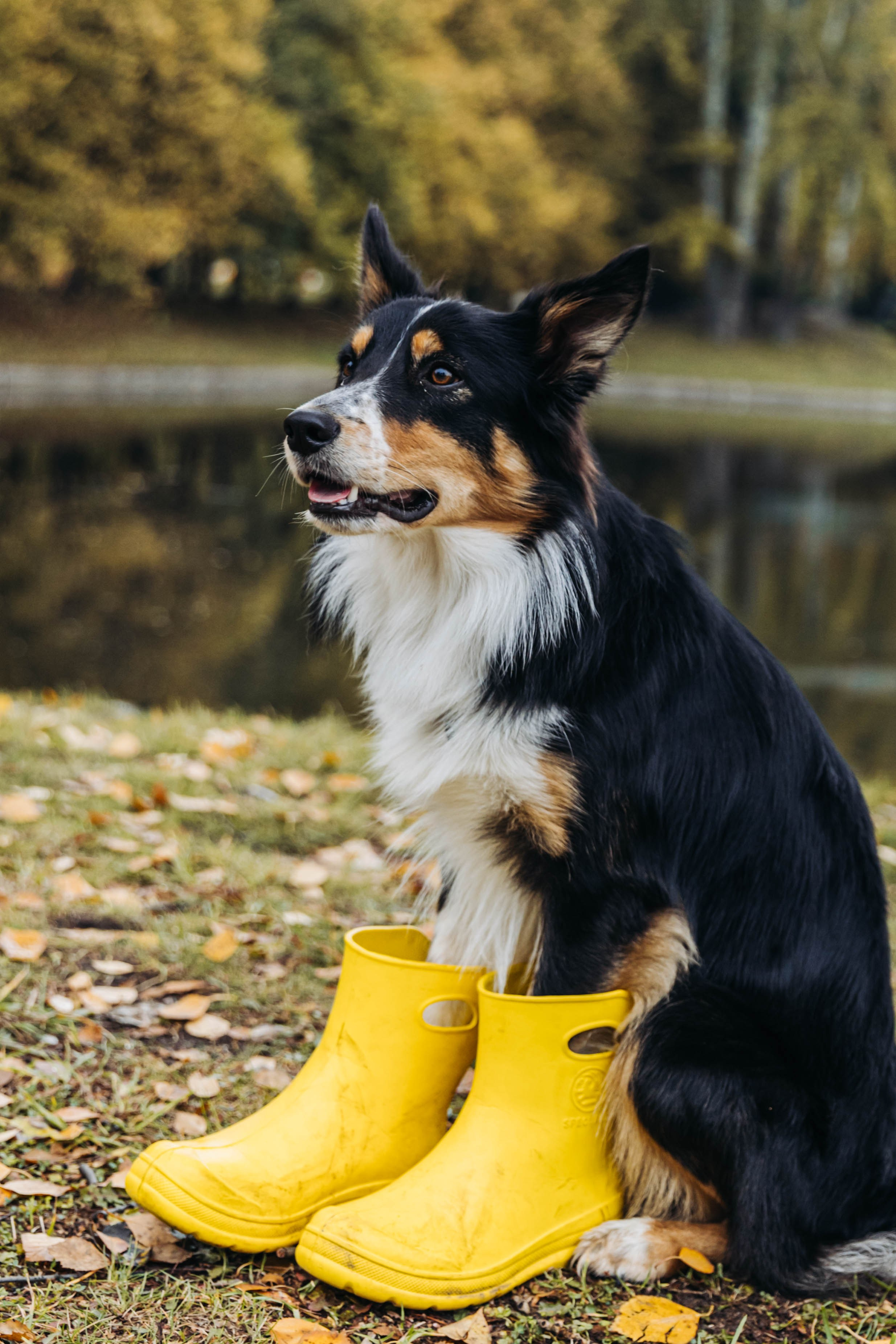 Вольт. Свадебный и семейный фотограф в Санкт-Петербурге Лолита Евстифеева