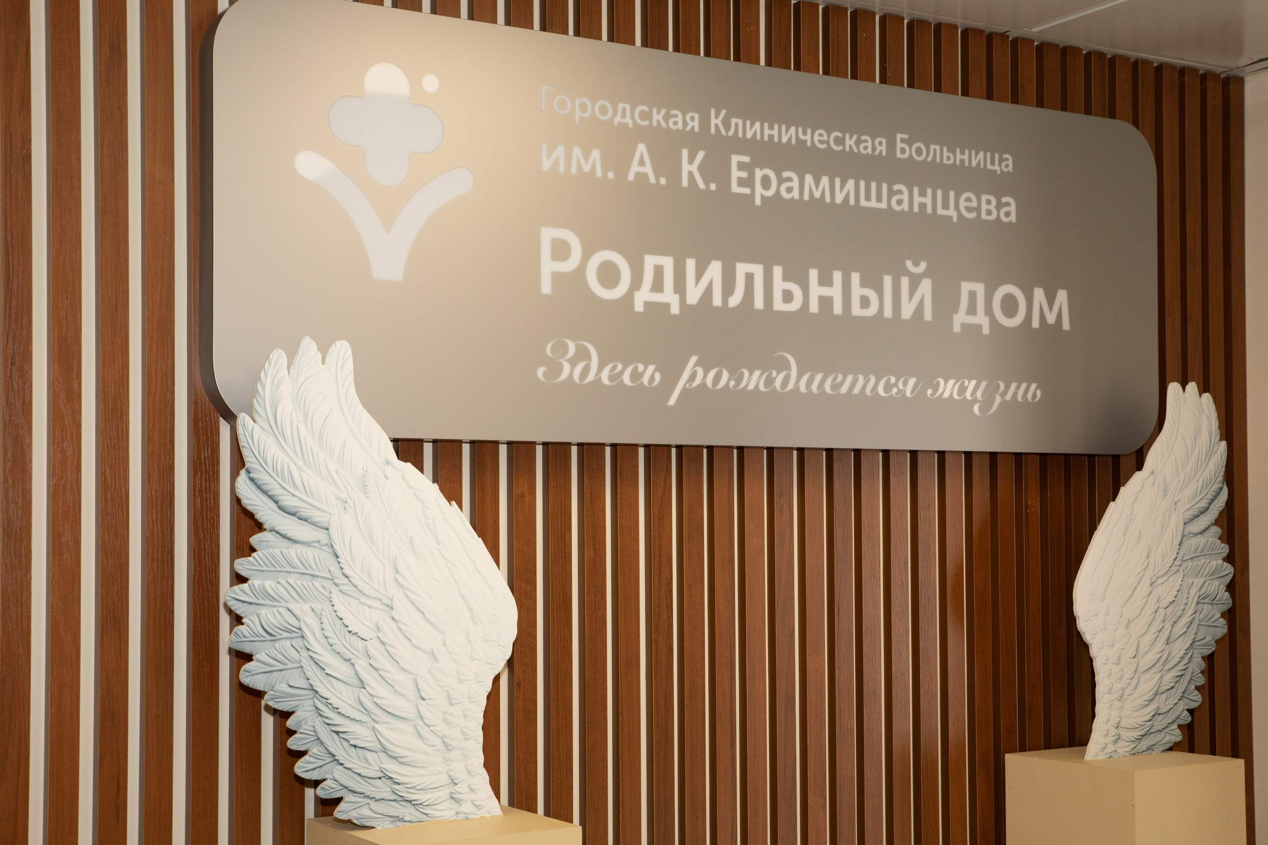 Выписка из роддома ГКБ им. Ерамишанцева. Фотограф в Москве Яна Полосина