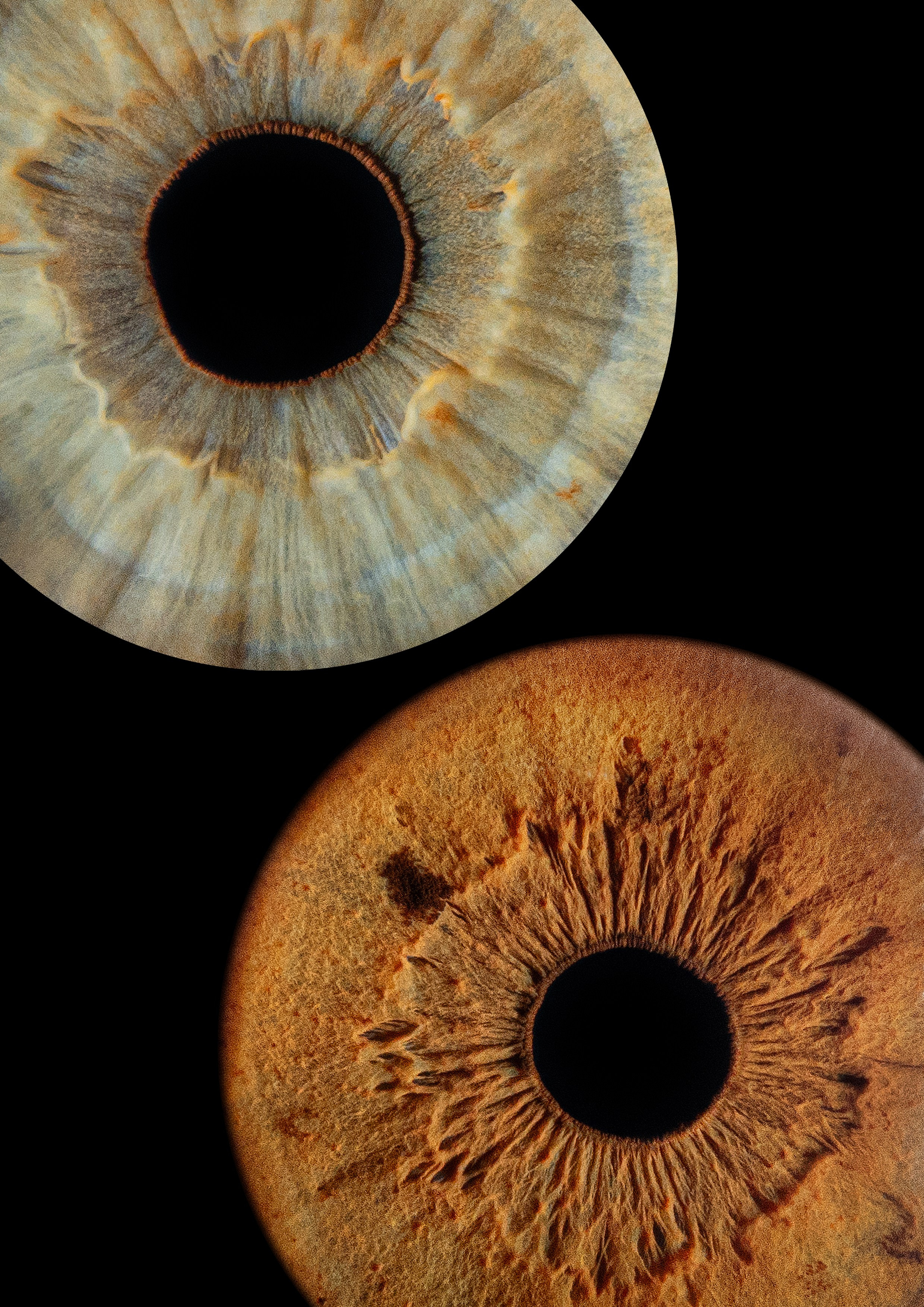 Примеры работ. Мой глаз