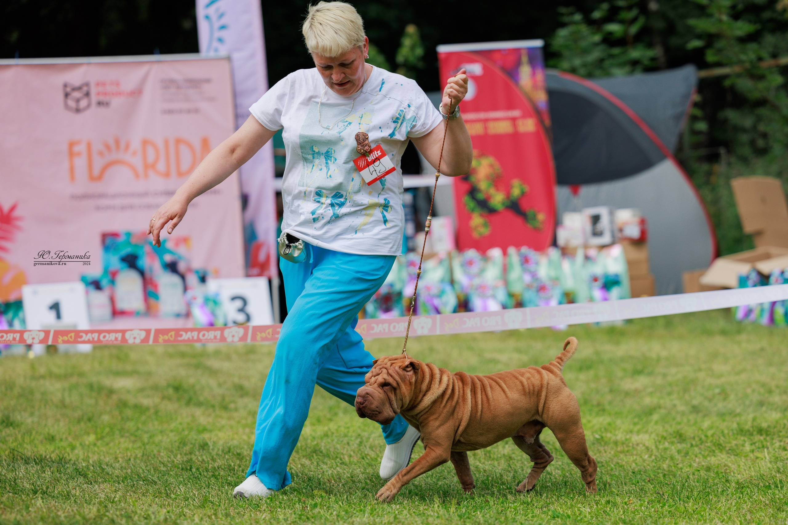Ярославль 21.07.24 и Балашиха 13.07.24. Фотограф-анималист Юлия Германика