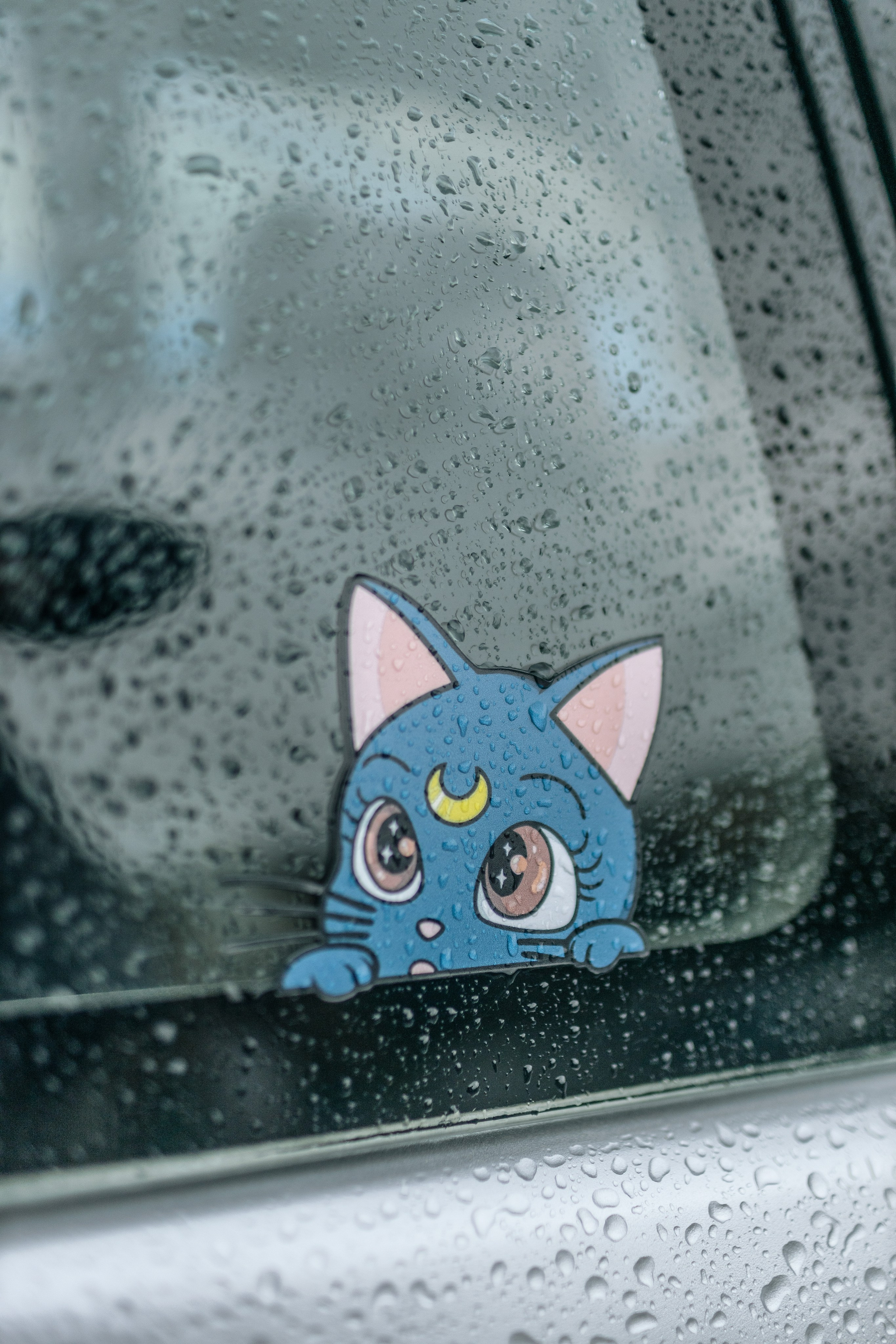 Биба и Боба. Портфолио свадебного фотографа. Роман Каргаполов