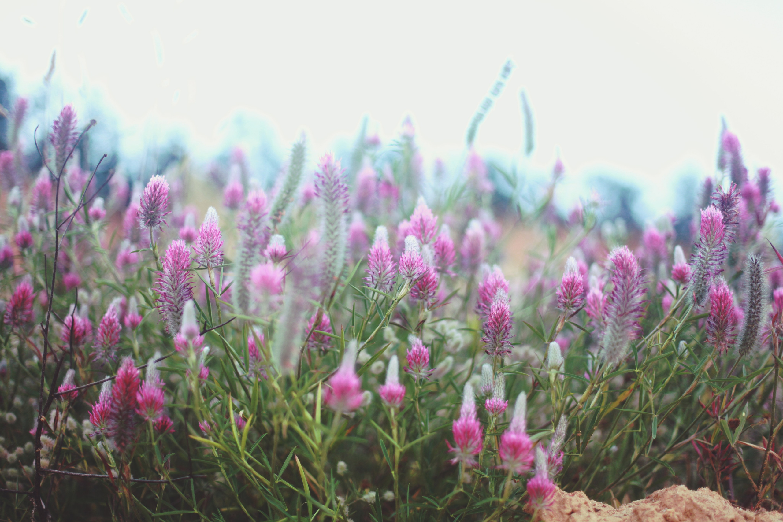 Болгария. Аня Степанова