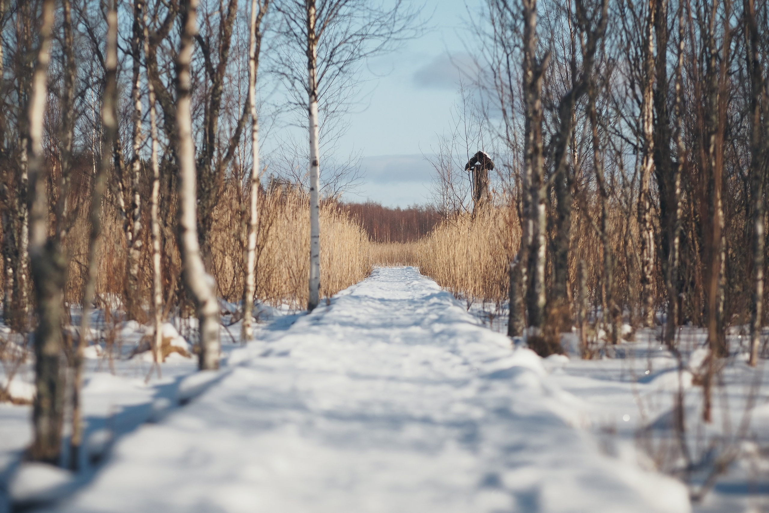 Раковые озера. Свадебный фотограф Копков Геннадий