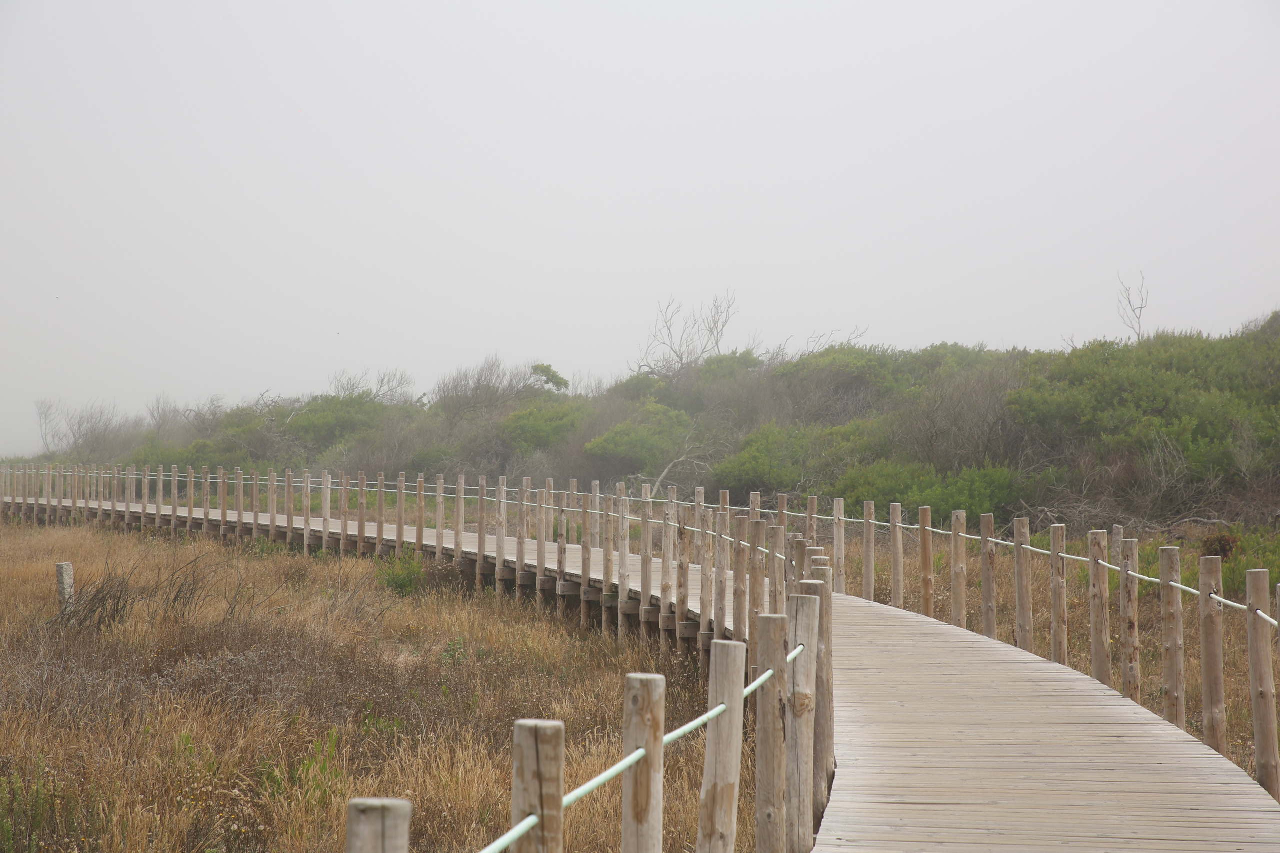Esmoriz, Portugal. Andrey Filippov Photographer