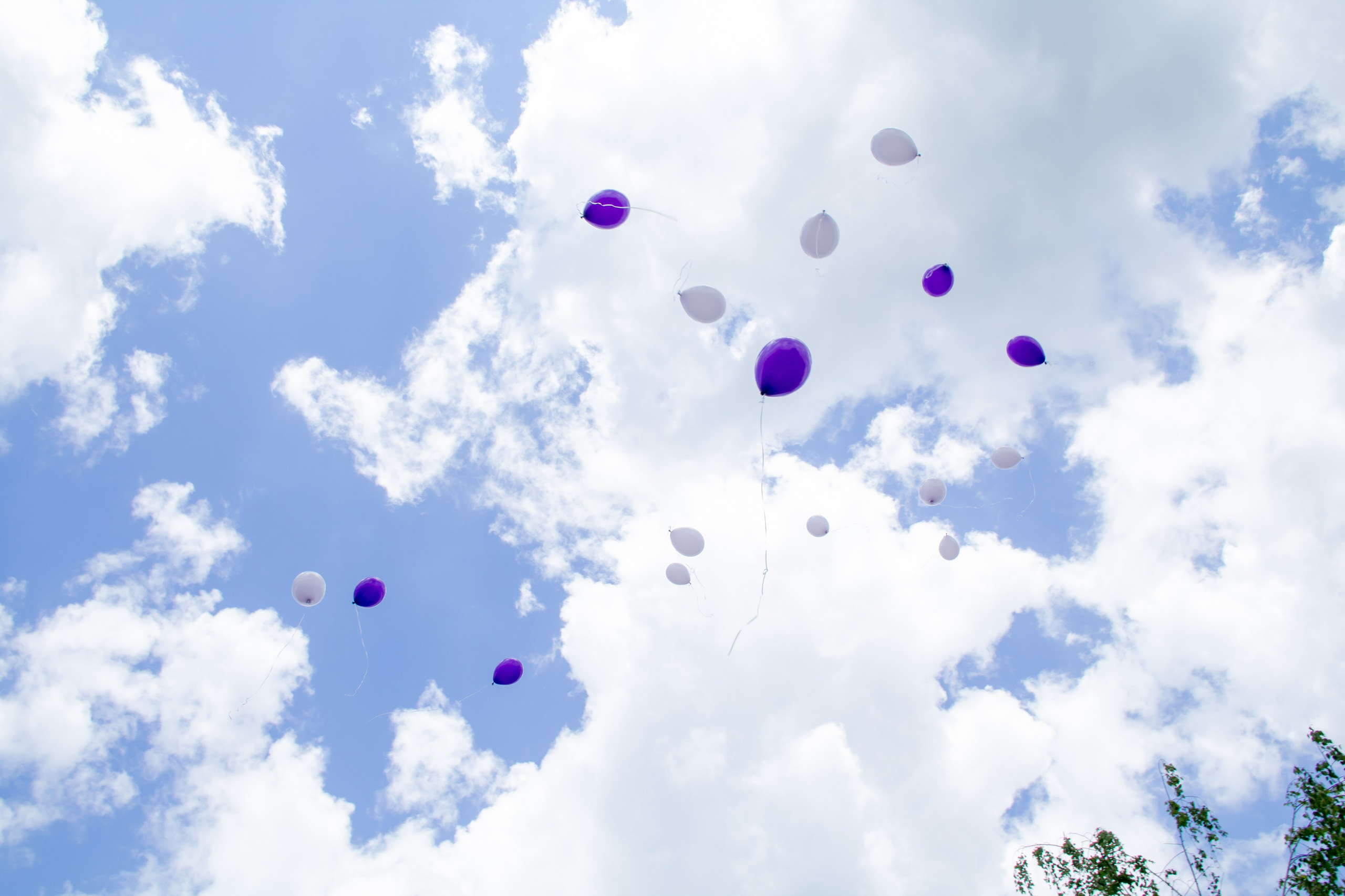 Выпускной ДС 50 группа «Подсолнушки»