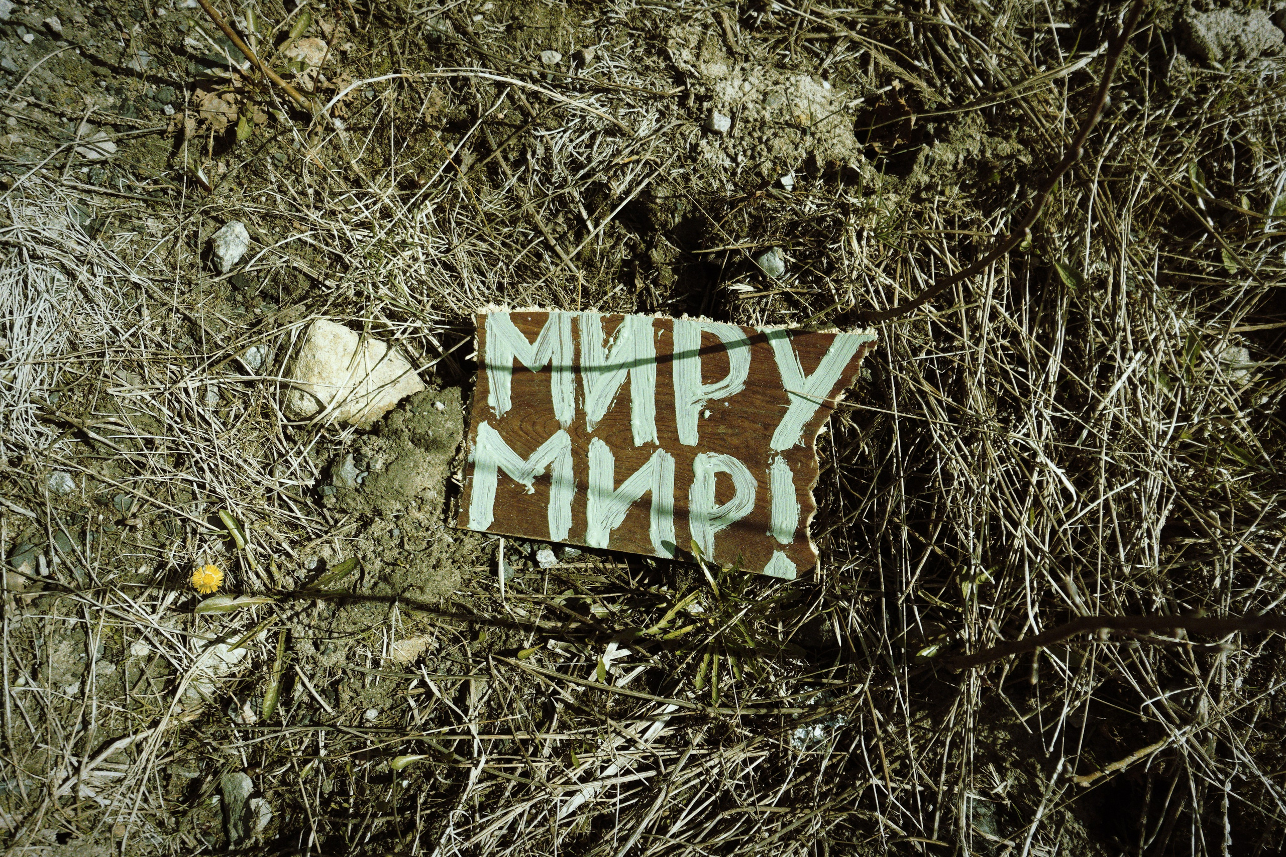 Bardo / Цветущие сны. Роман Ходырев — художник, фотограф, музыкант, эзотериолог. Санкт-Петербург, Рига