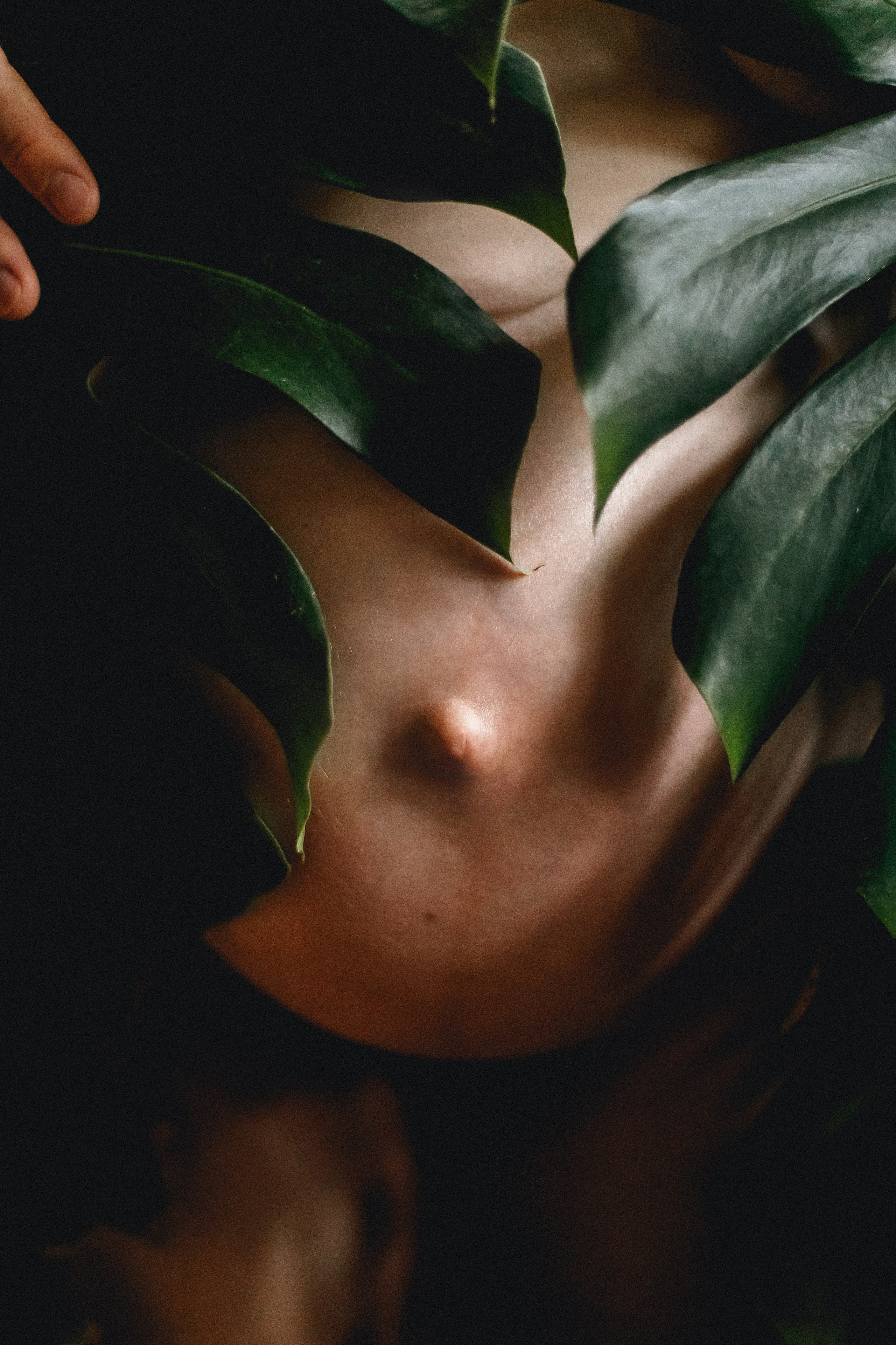 Настя и дочери. Домашняя съёмка. Фотограф в Москве Базанова Дарья