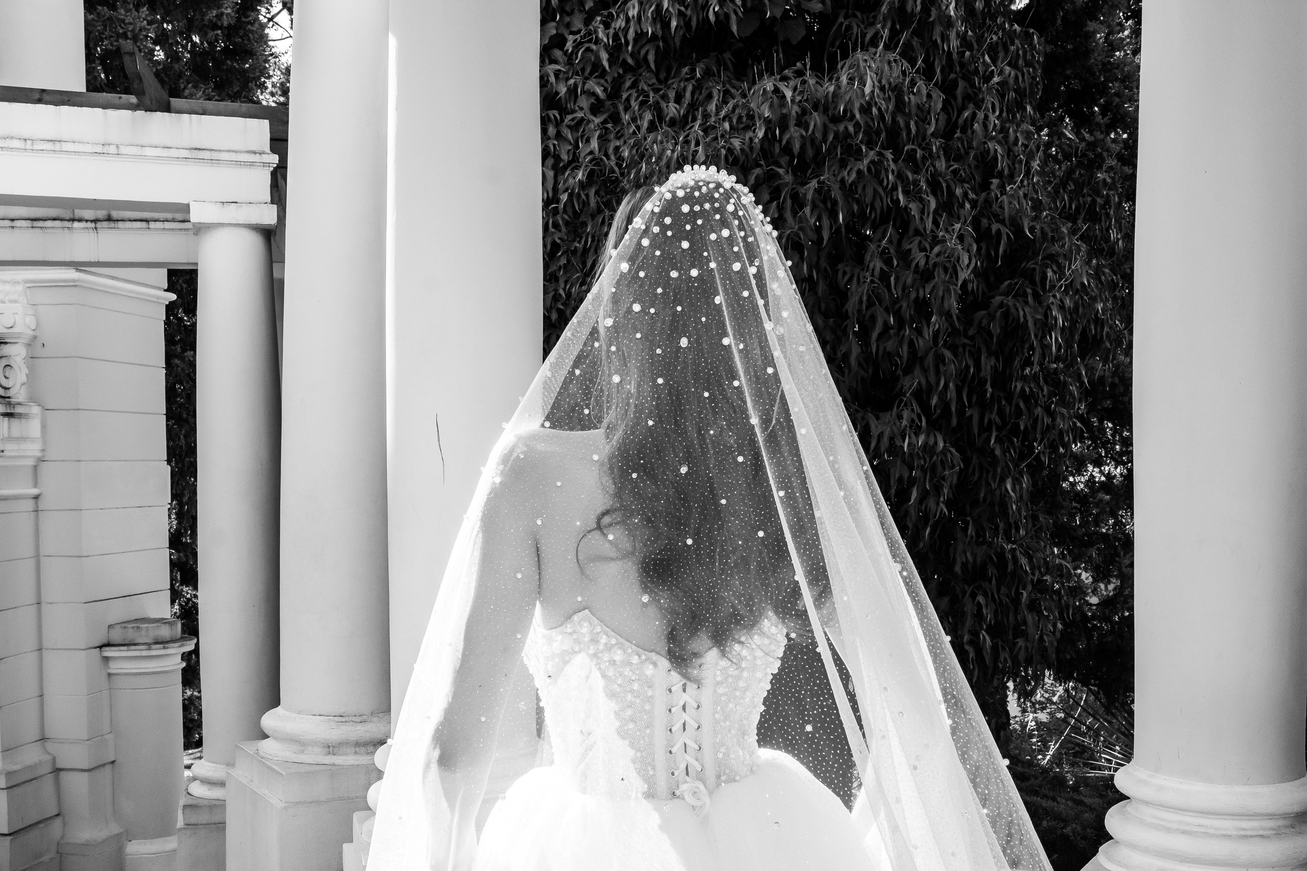 Сергей & Диана