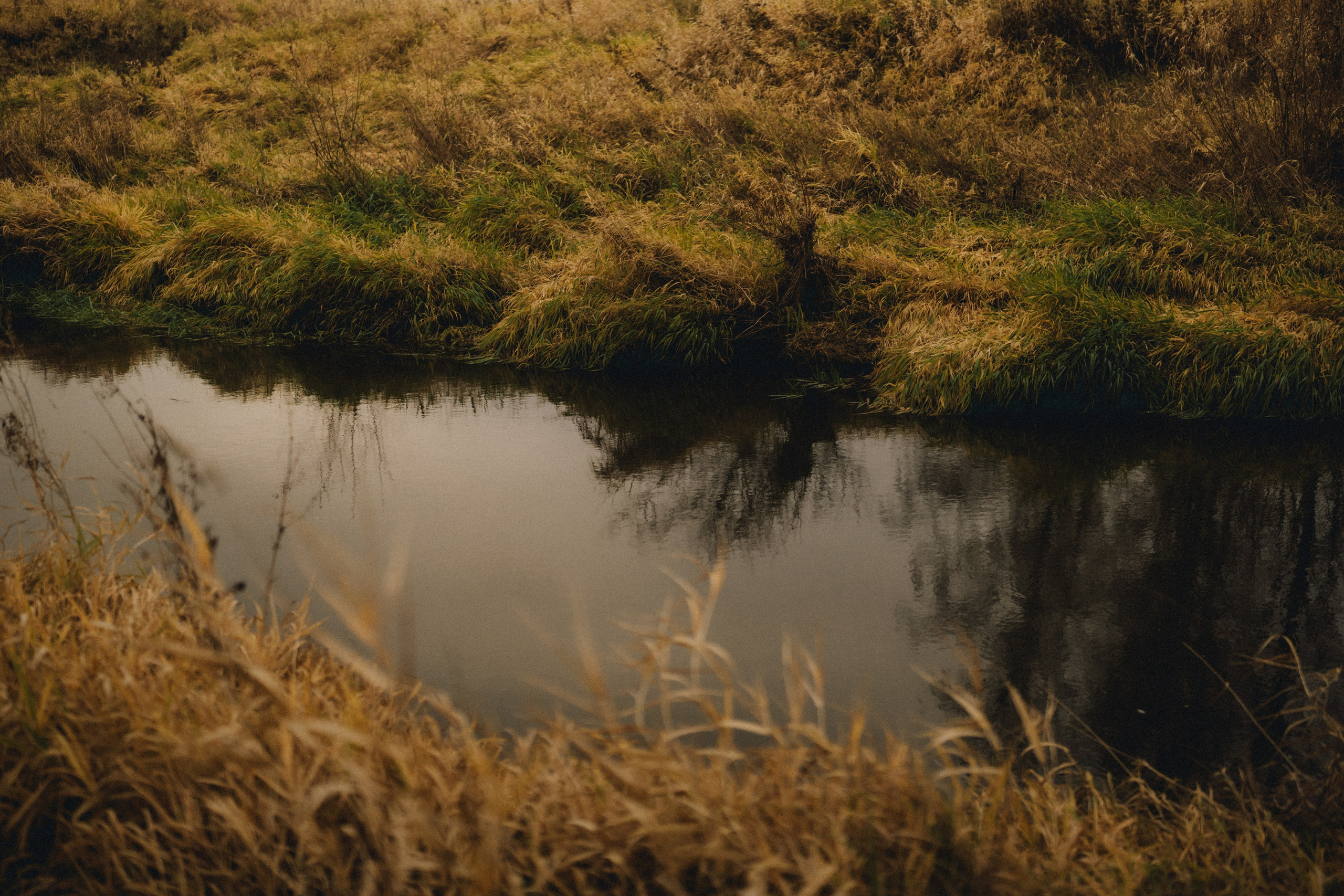 Лия | осенняя фотосессия у воды. Портретный фотограф Москва
