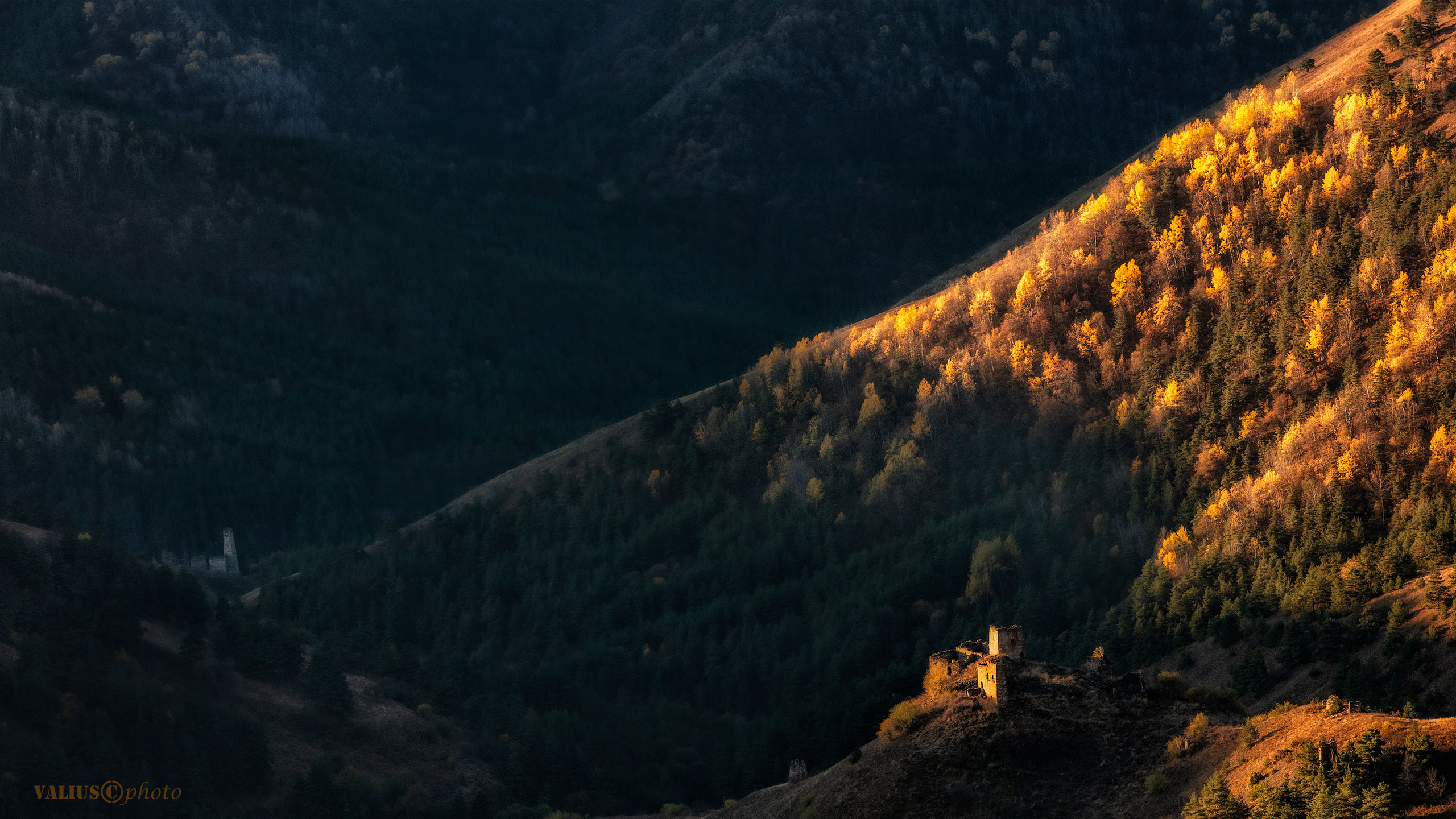 Краски осени 2021. Танцы и балет, эротика, ню фотосессии в Москве. Valius Werwolf