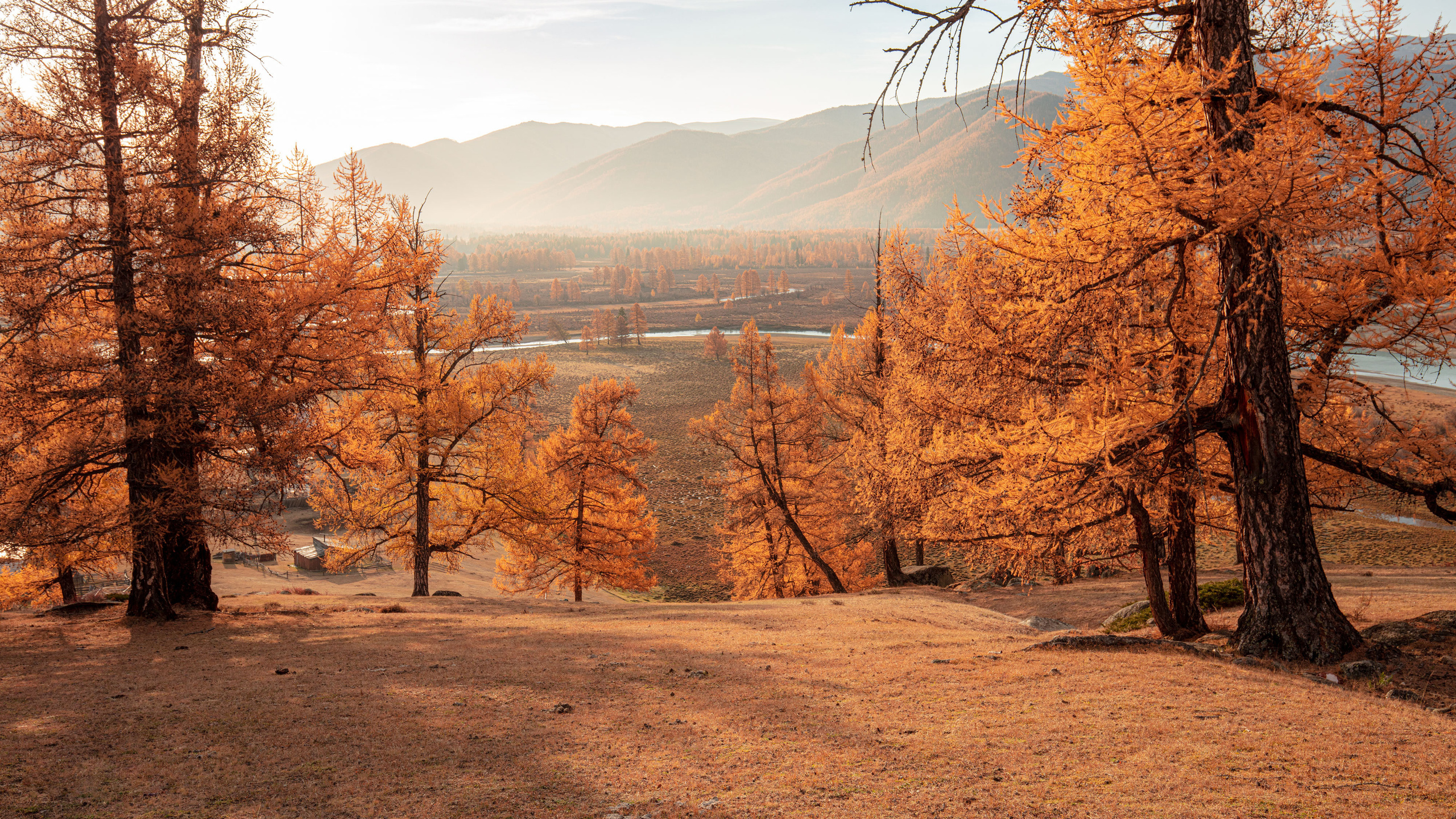 Краски осени 2022. Танцы и балет, эротика, ню фотосессии в Москве. Valius Werwolf