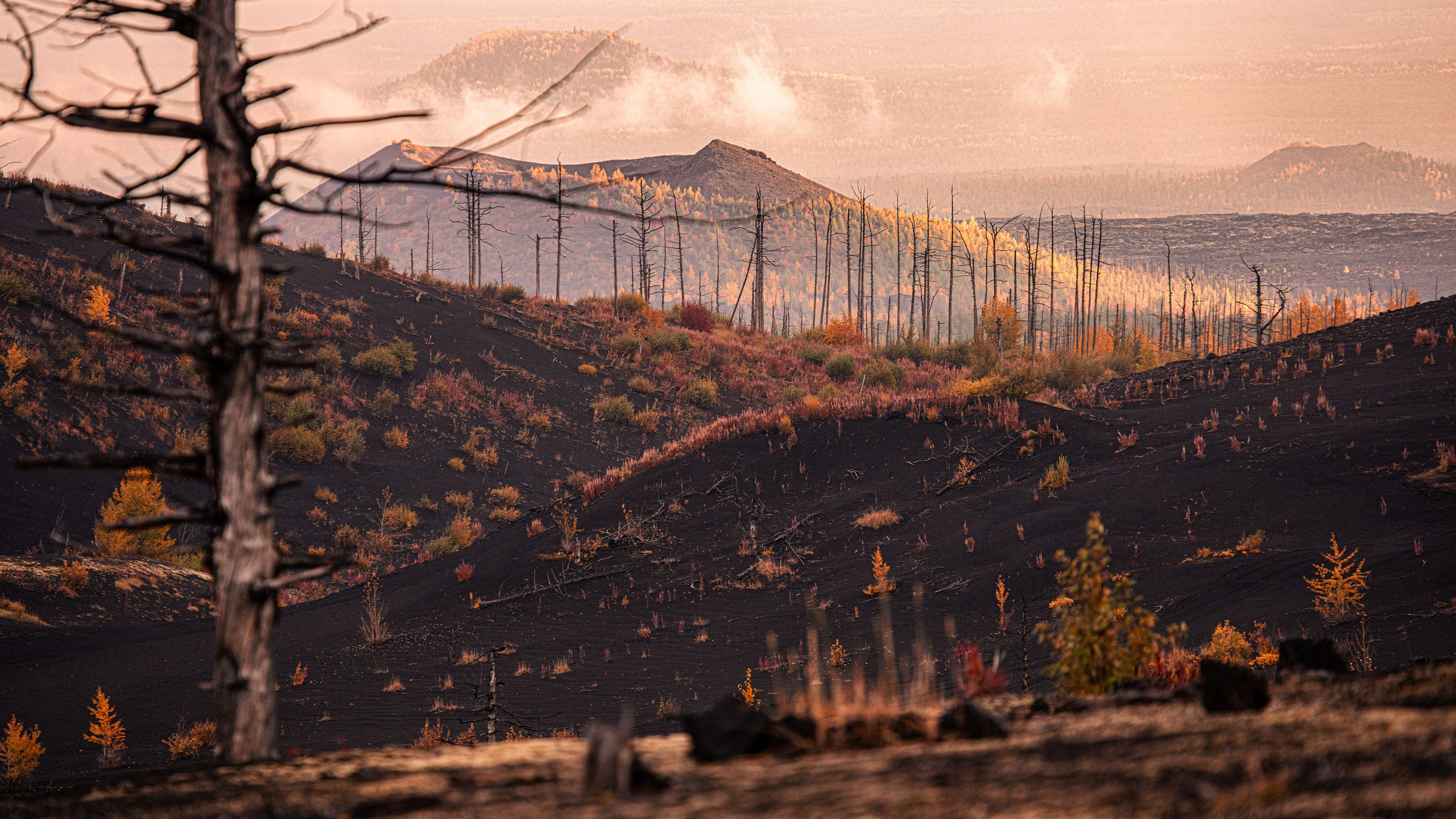 Осенний пейзаж. Танцы и балет, эротика, ню фотосессии в Москве. Valius Werwolf