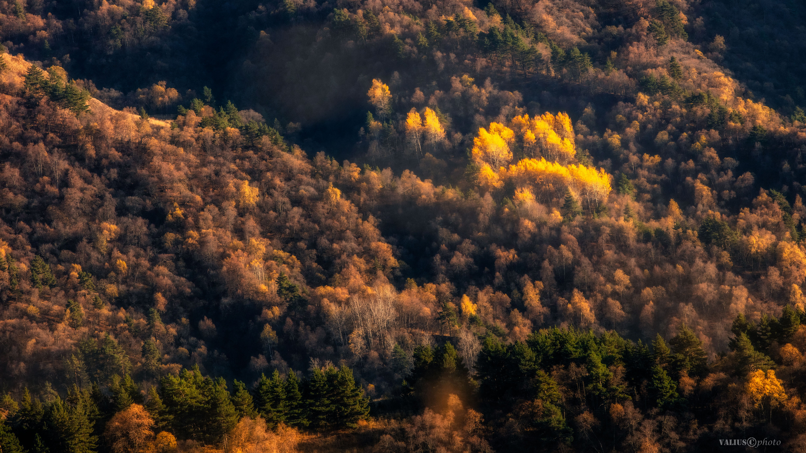 Краски осени 2021. Танцы и балет, эротика, ню фотосессии в Москве. Valius Werwolf