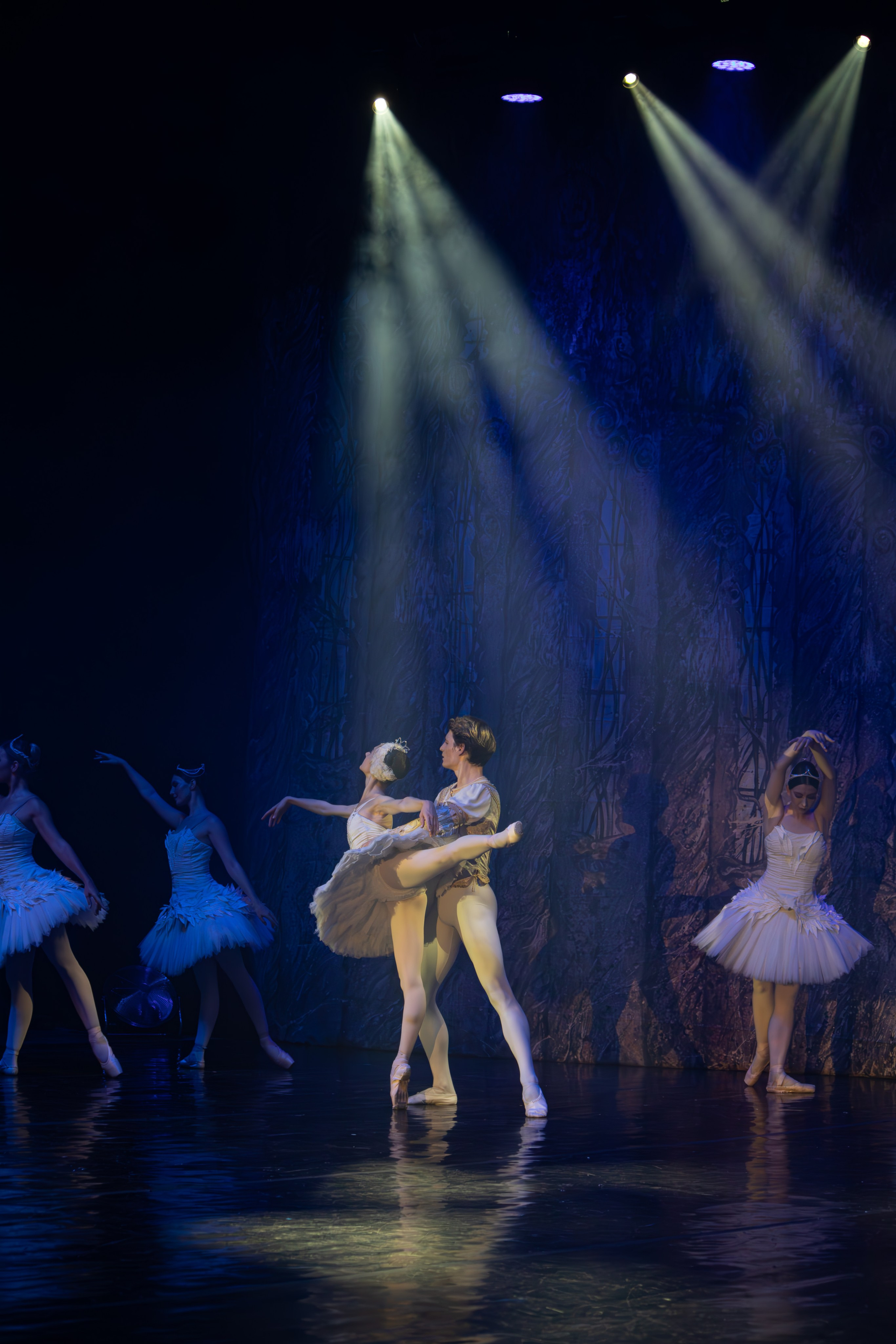 Лебединое озеро. Имперский русский балет. Фотограф в Нижнем Новгороде Екатерина Хисматулина