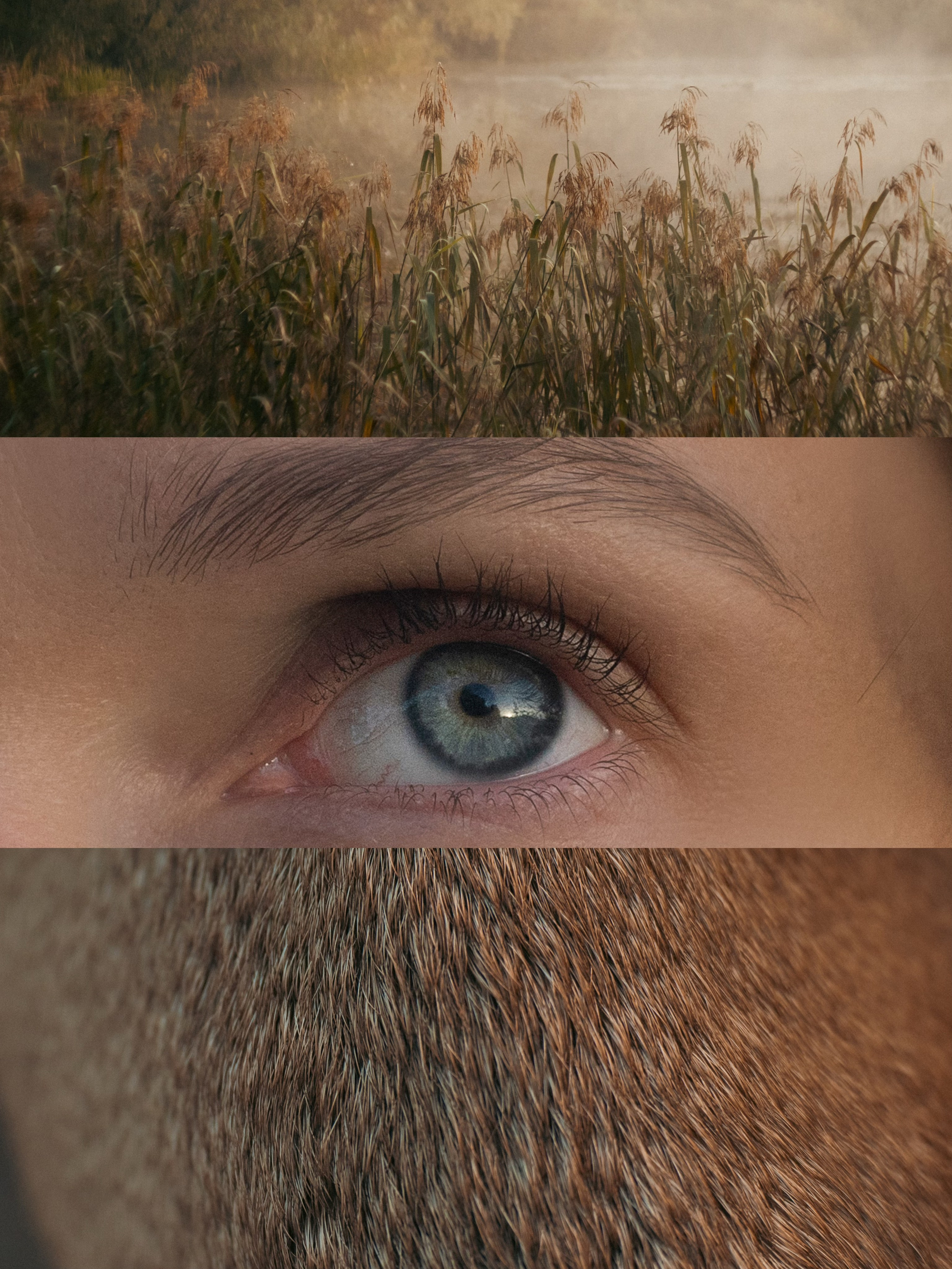 Анастасия и Бенц. Фотограф анималист в Москве и Санкт-Петербурге Свиридова Анна