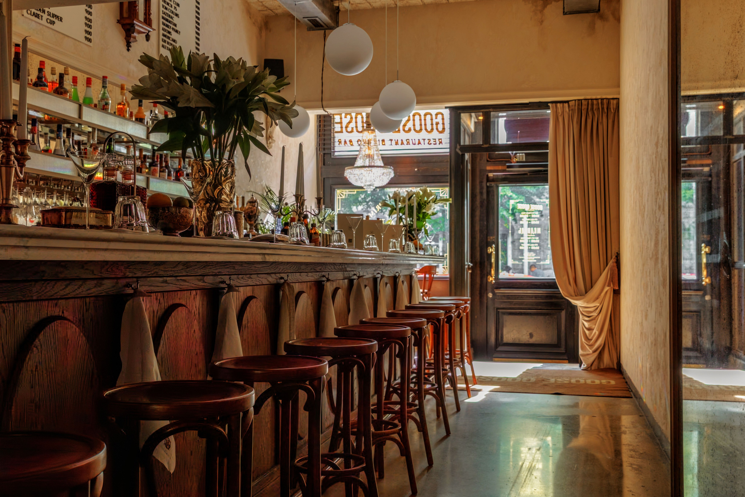 Медведь. Репортажный фотограф в Санкт-Петербурге Жолудев Владислав