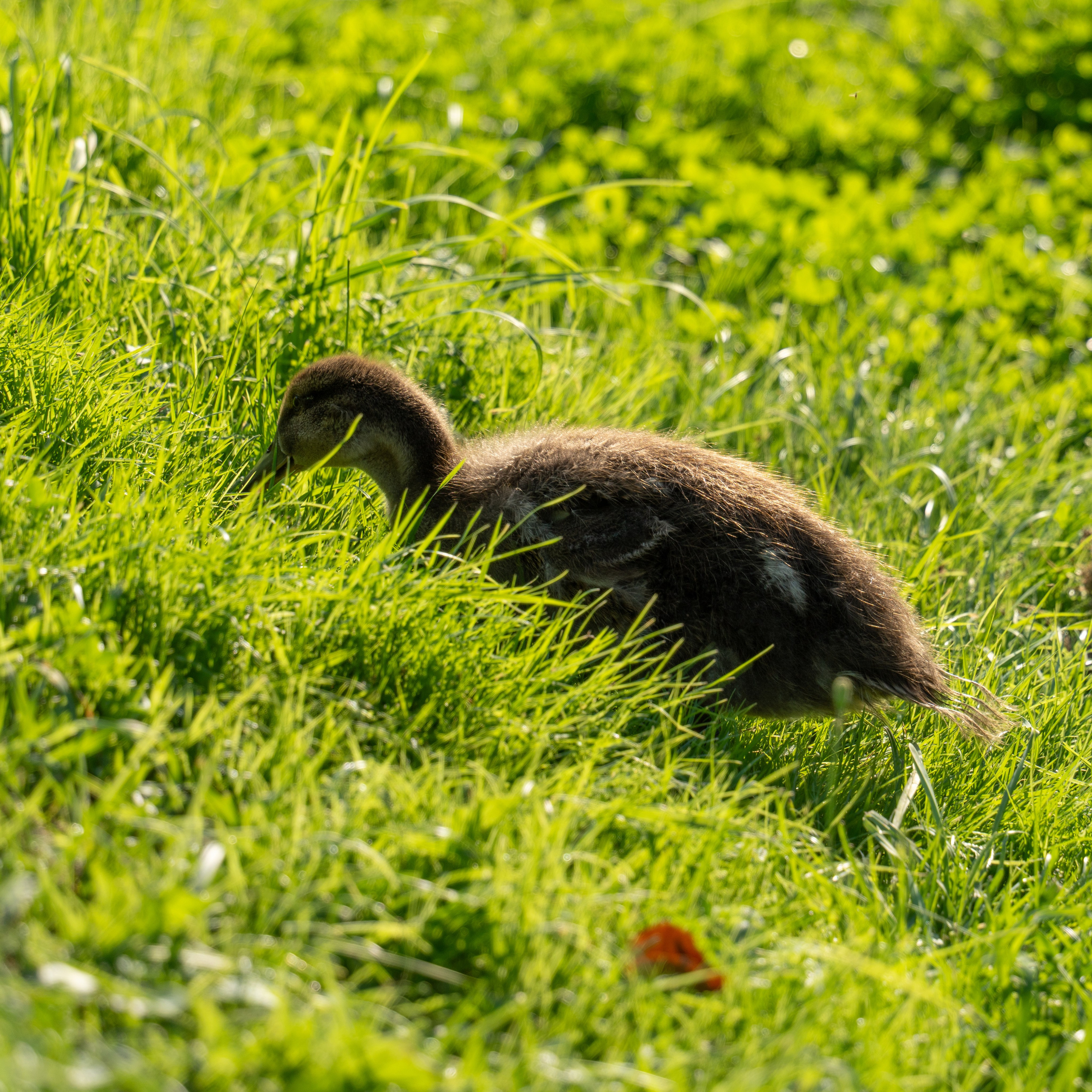 20250729-30 Ростов. Дмитрий Ремизов. Фотография, как хобби