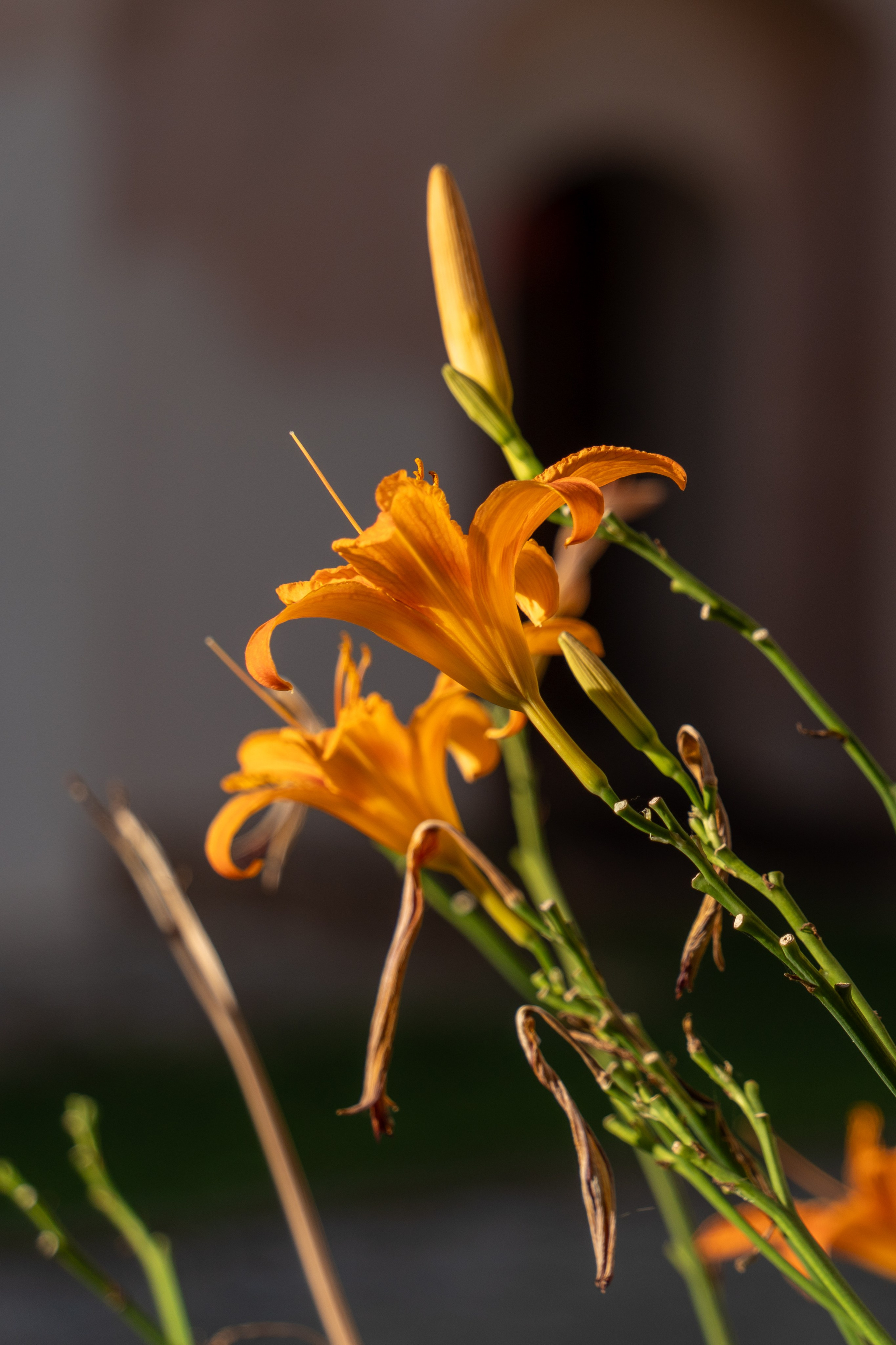 20250729-30 Ростов. Дмитрий Ремизов. Фотография, как хобби