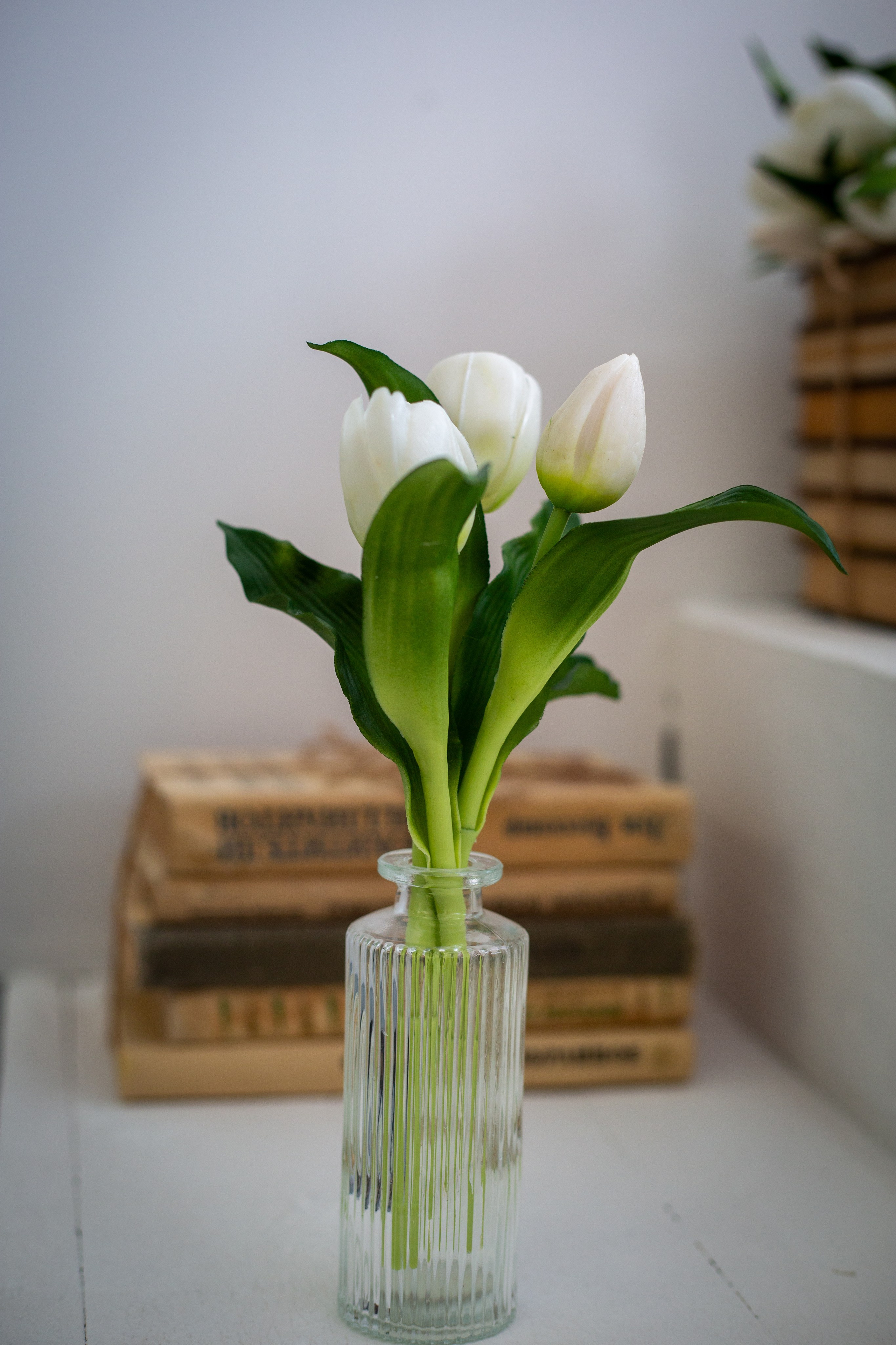 Фотогалерея. Фотостудия «Небо»