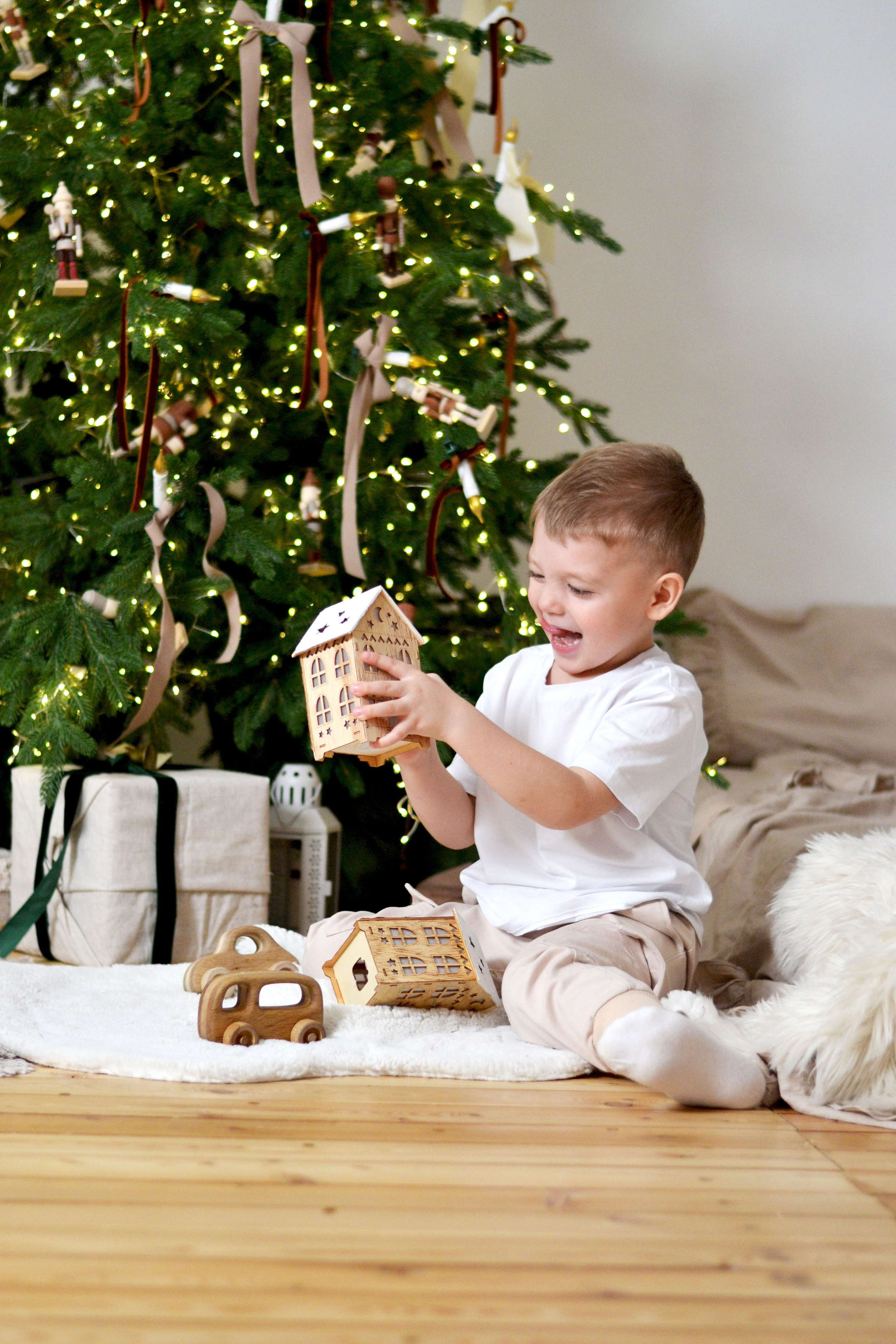 Новогодняя. Фотограф Ольга Дмитриева. Новосибирск