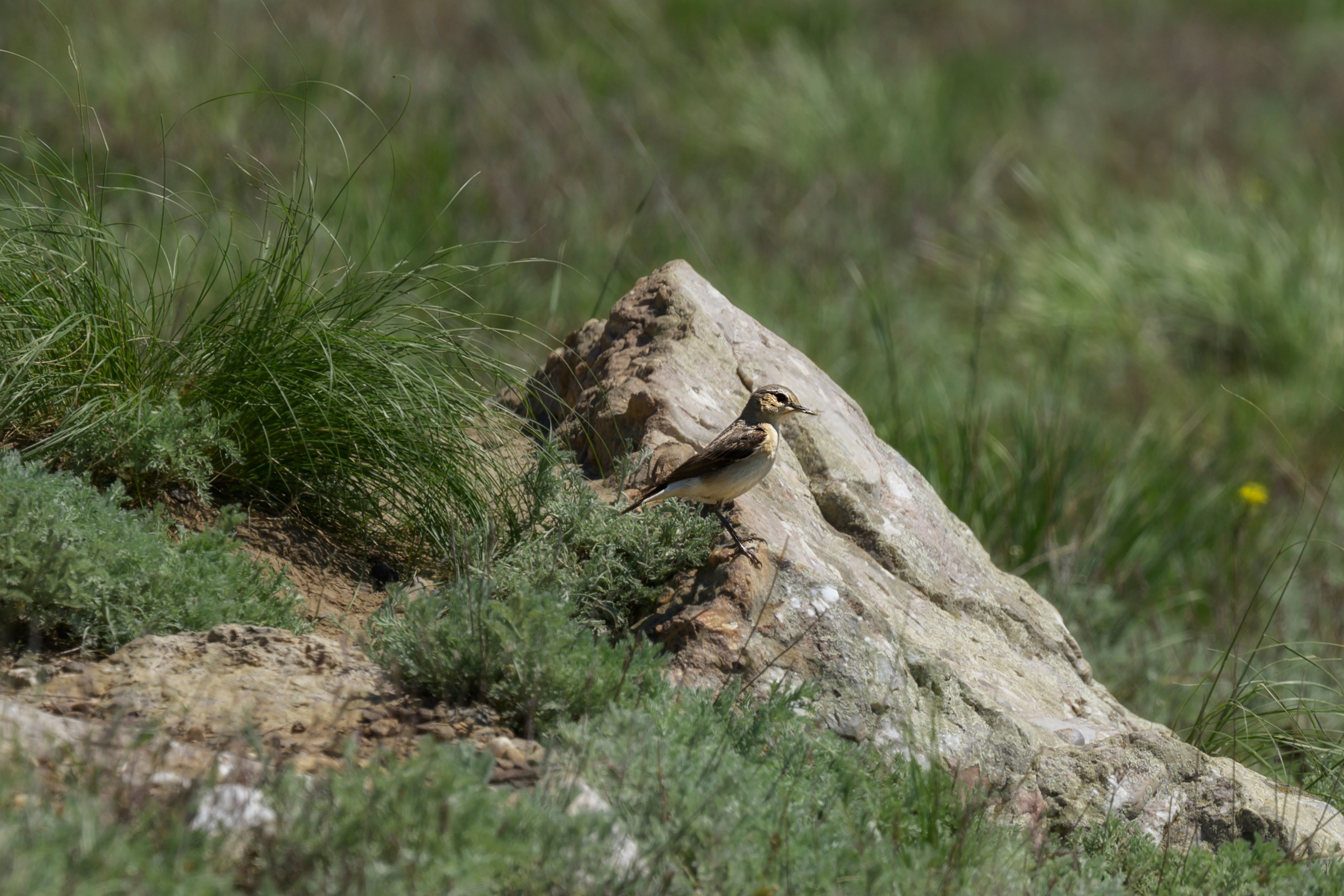Оренбуржье. Портретный фотограф в Челябинске Катерина Руди