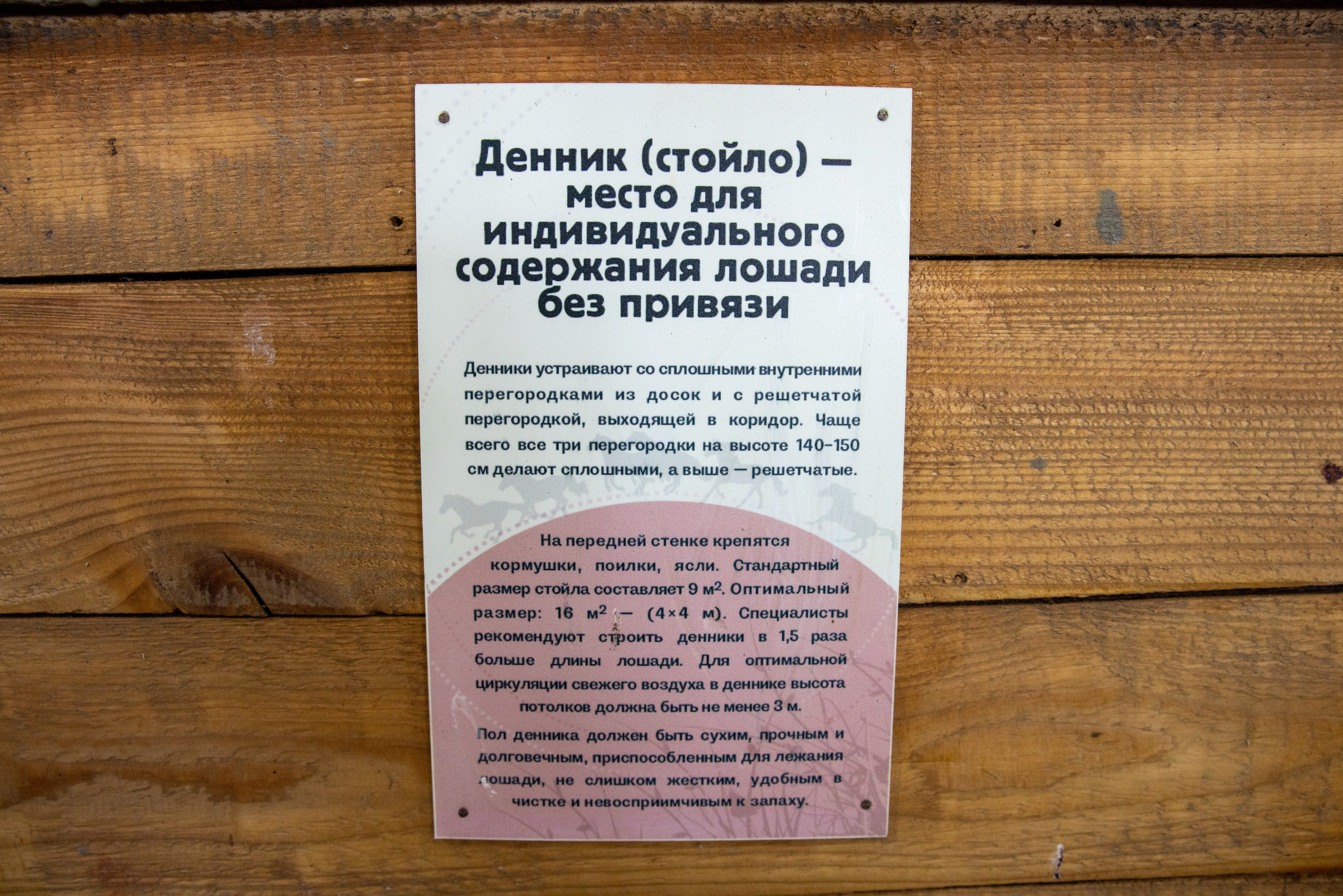 Поездка на поле Кулеково. Фотограф в Туле Крупский АнДРей. Фотостудия «КАДР71» в Туле