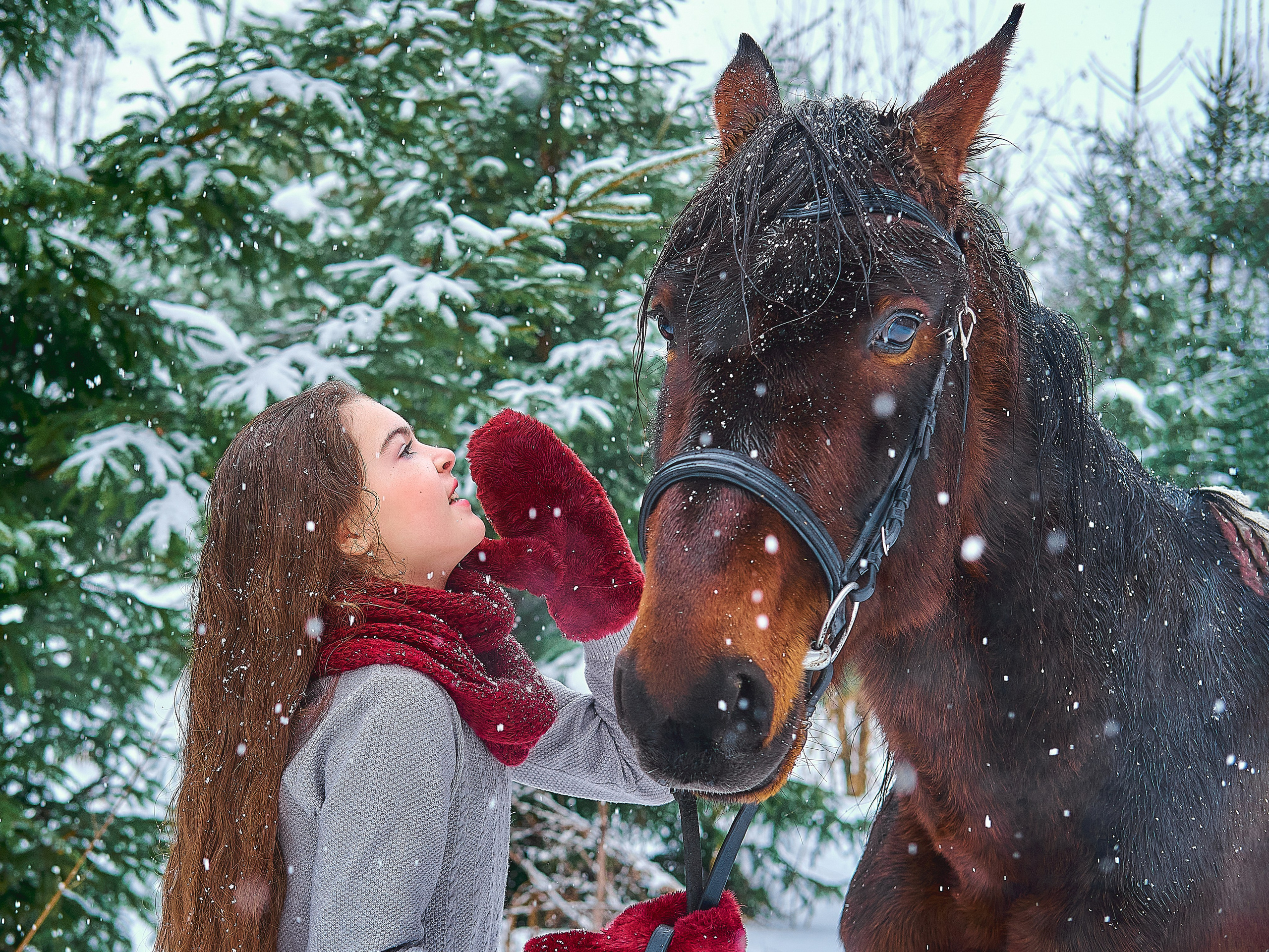 С лошадьми. Семейный и портретный фотограф в Новомосковске и Узловой Михеева Татьяна