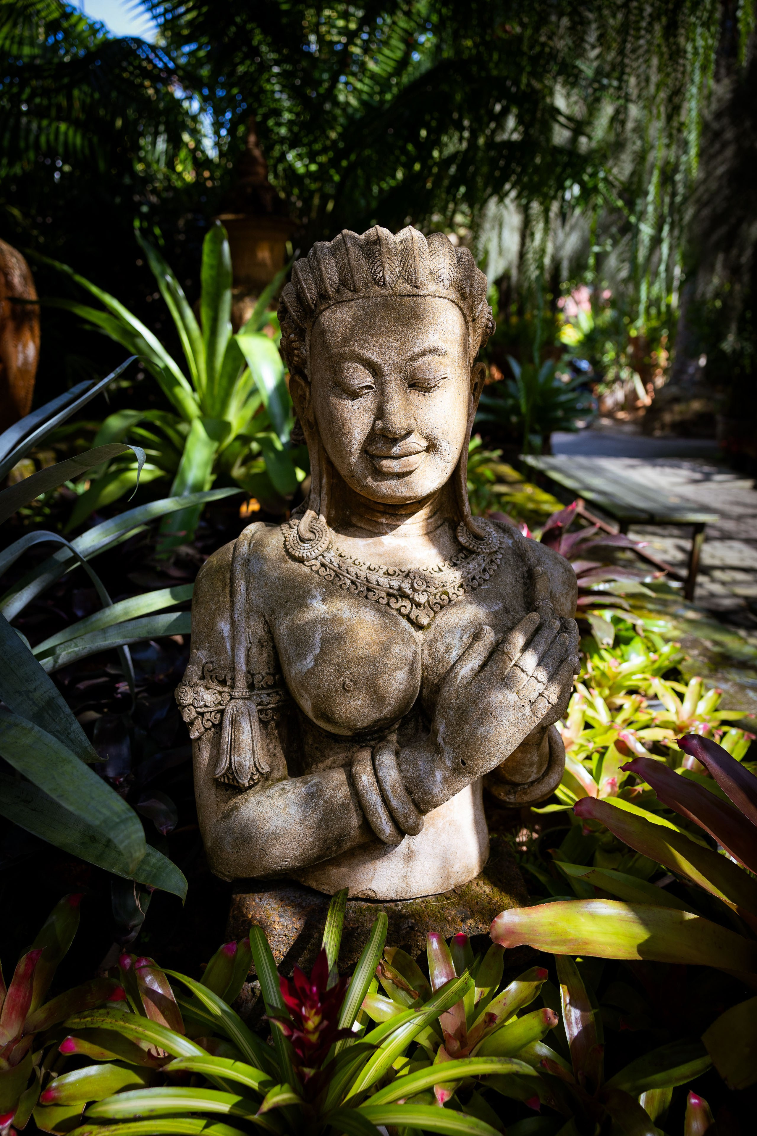 Таиланд (зима 2025). Фотограф Виноградов Константин