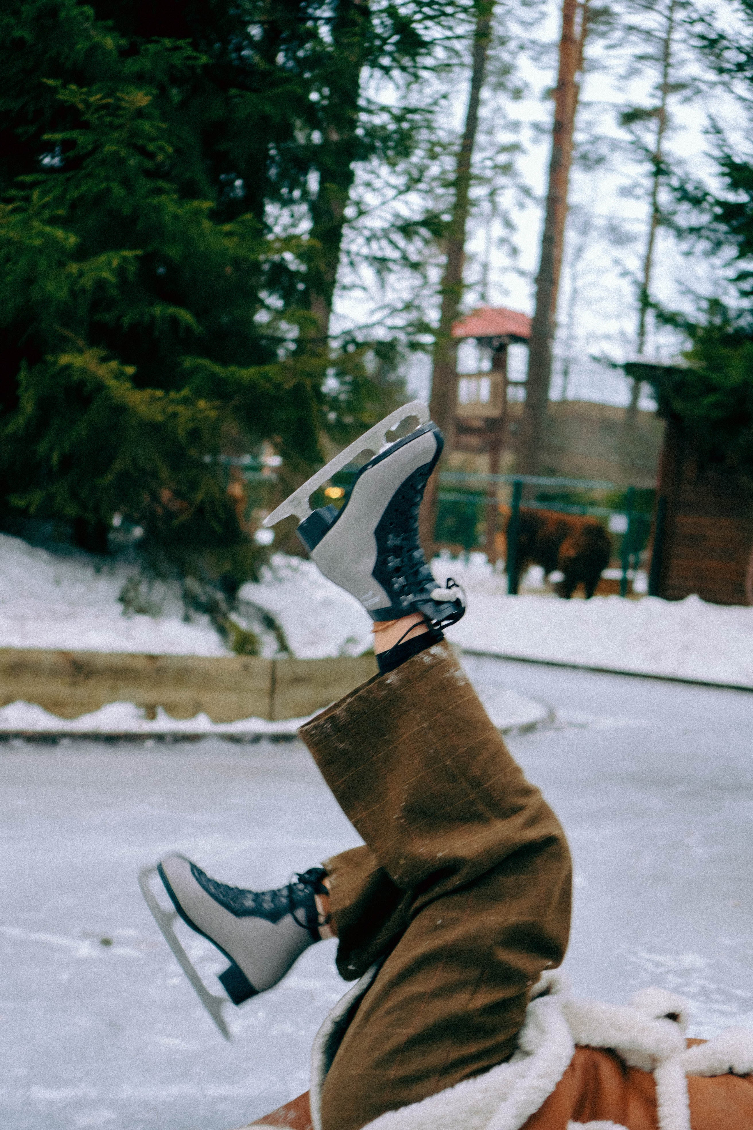 Каток. Профессиональный фотограф, Санкт-Петербург — Виктория Богомолова