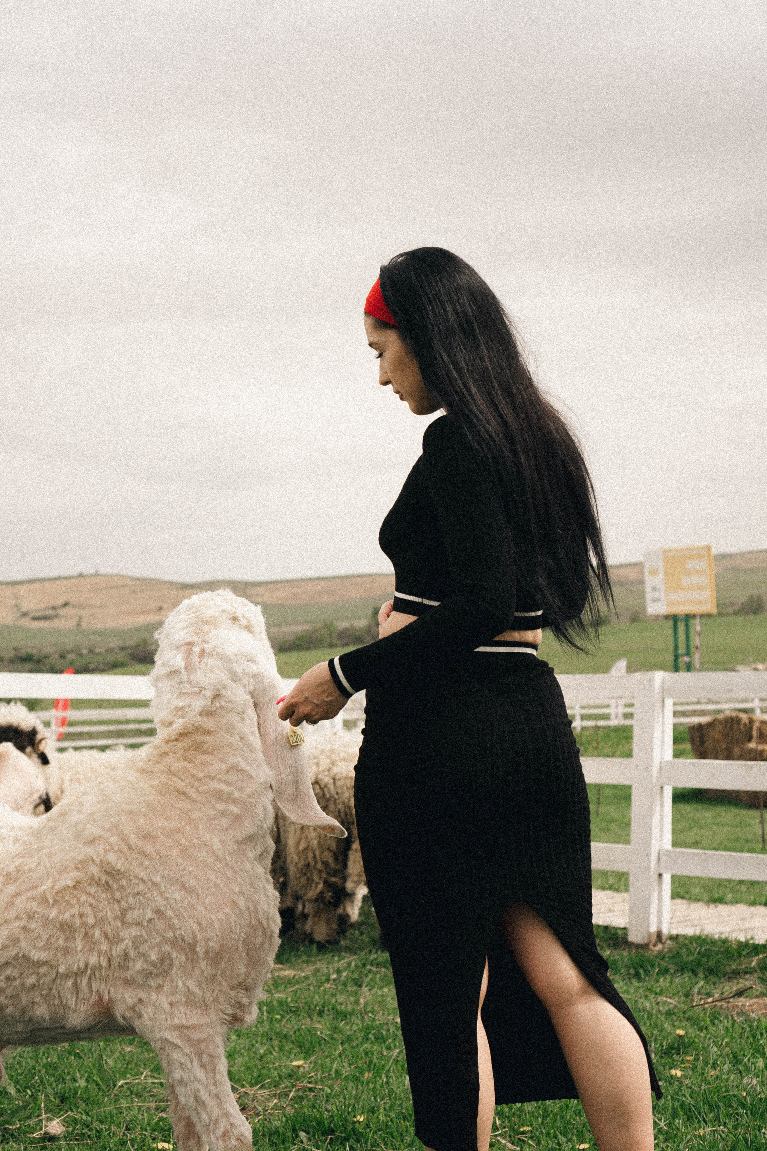 Ферма Альпак. Профессиональный фотограф, Санкт-Петербург — Виктория Богомолова