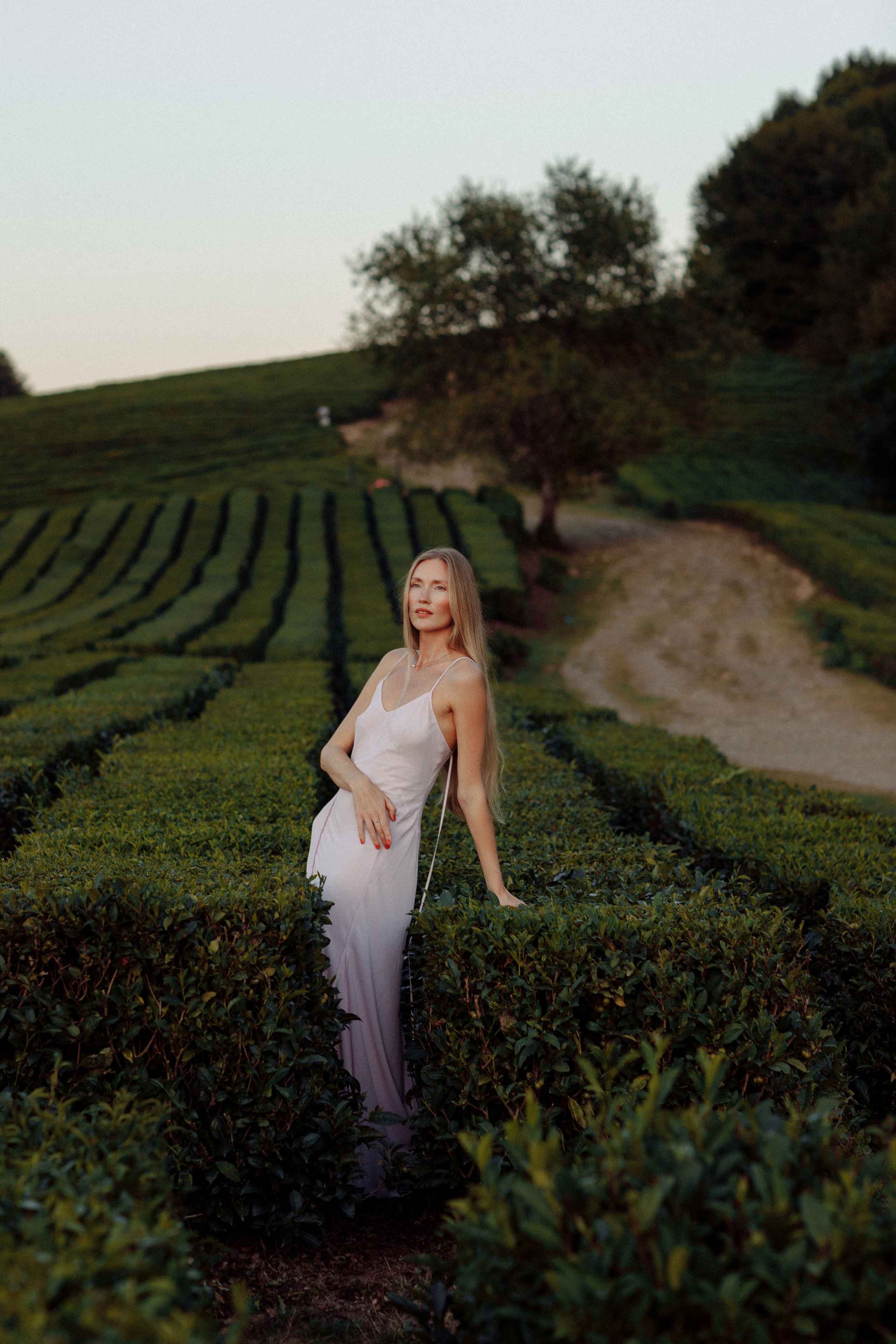 Нюдовый фотограф