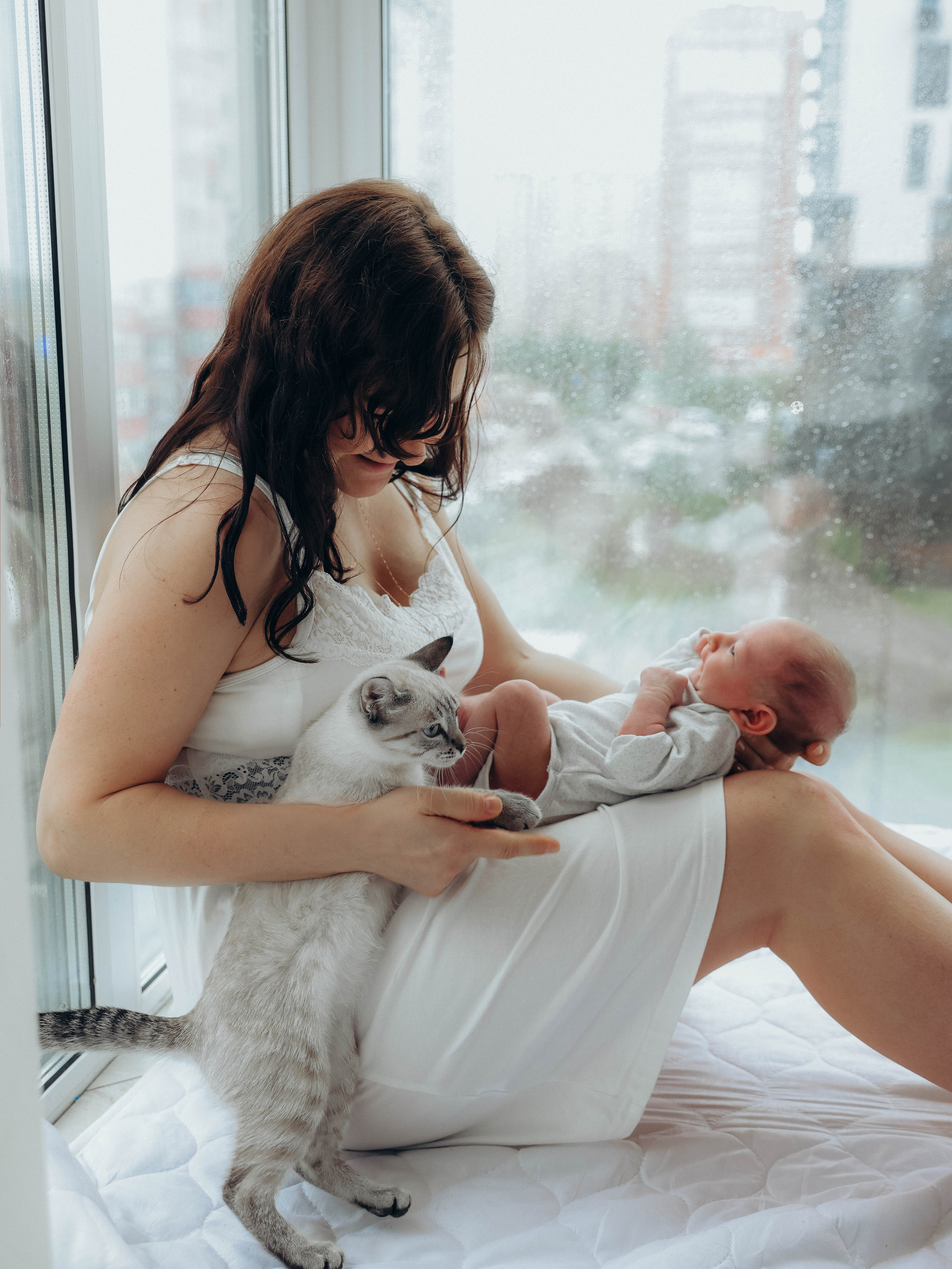 Любовь и котики. Мультифотограф Динара Ахмедзянова