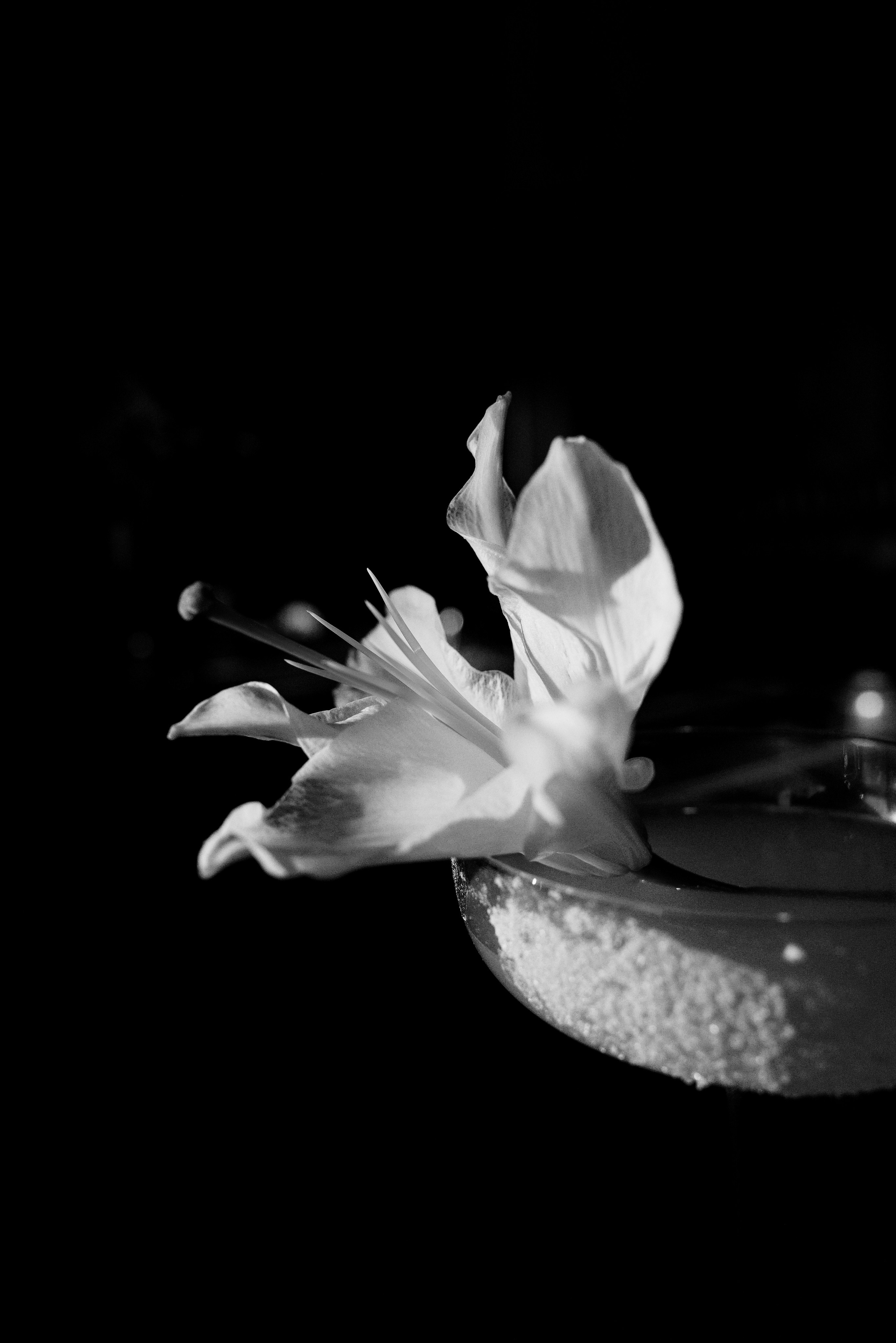 Свадебная серия в баре. Свадебный и семейный фотограф  во Владивостоке Ольга Украинец