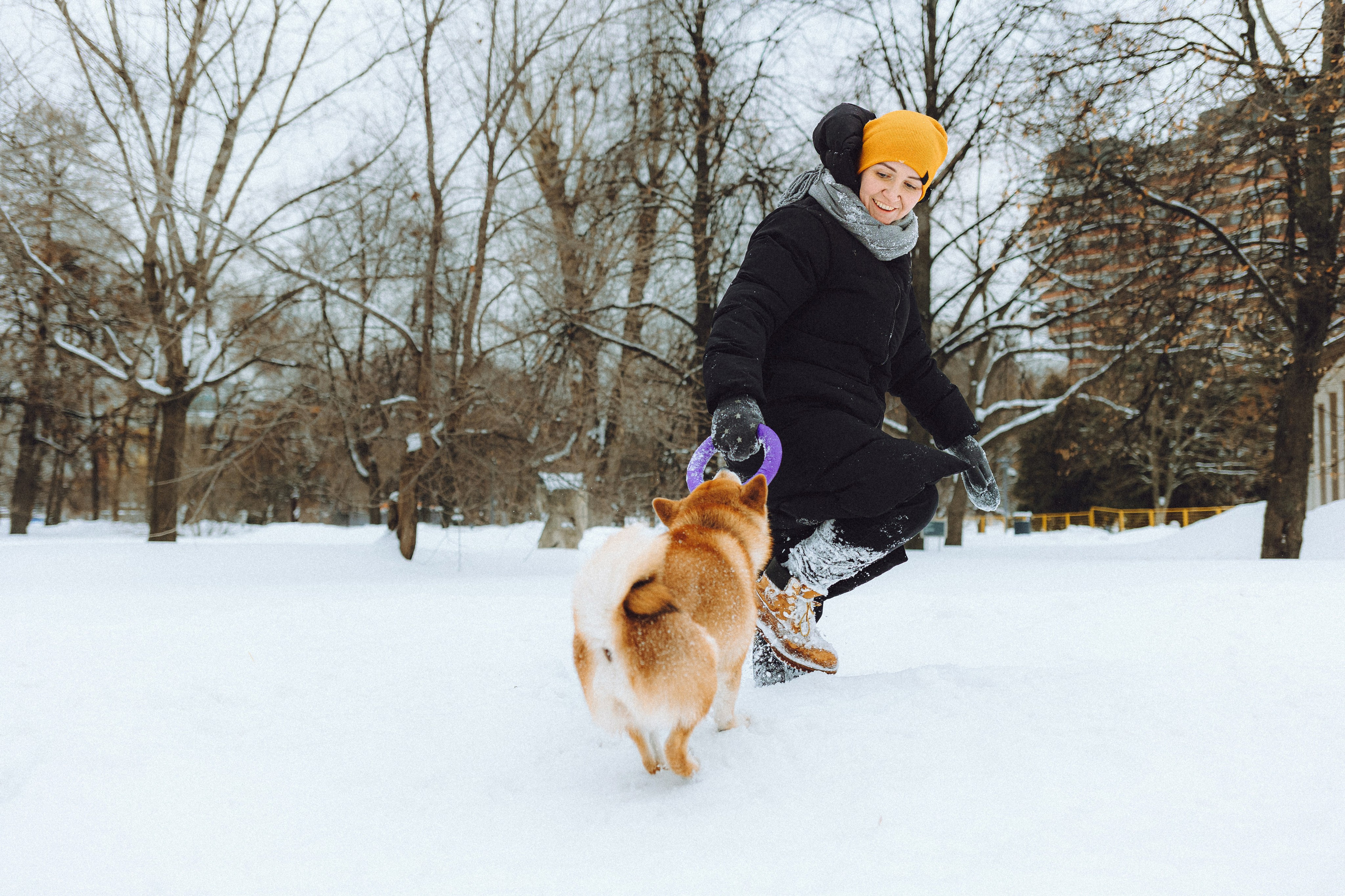 Настя и Ронин