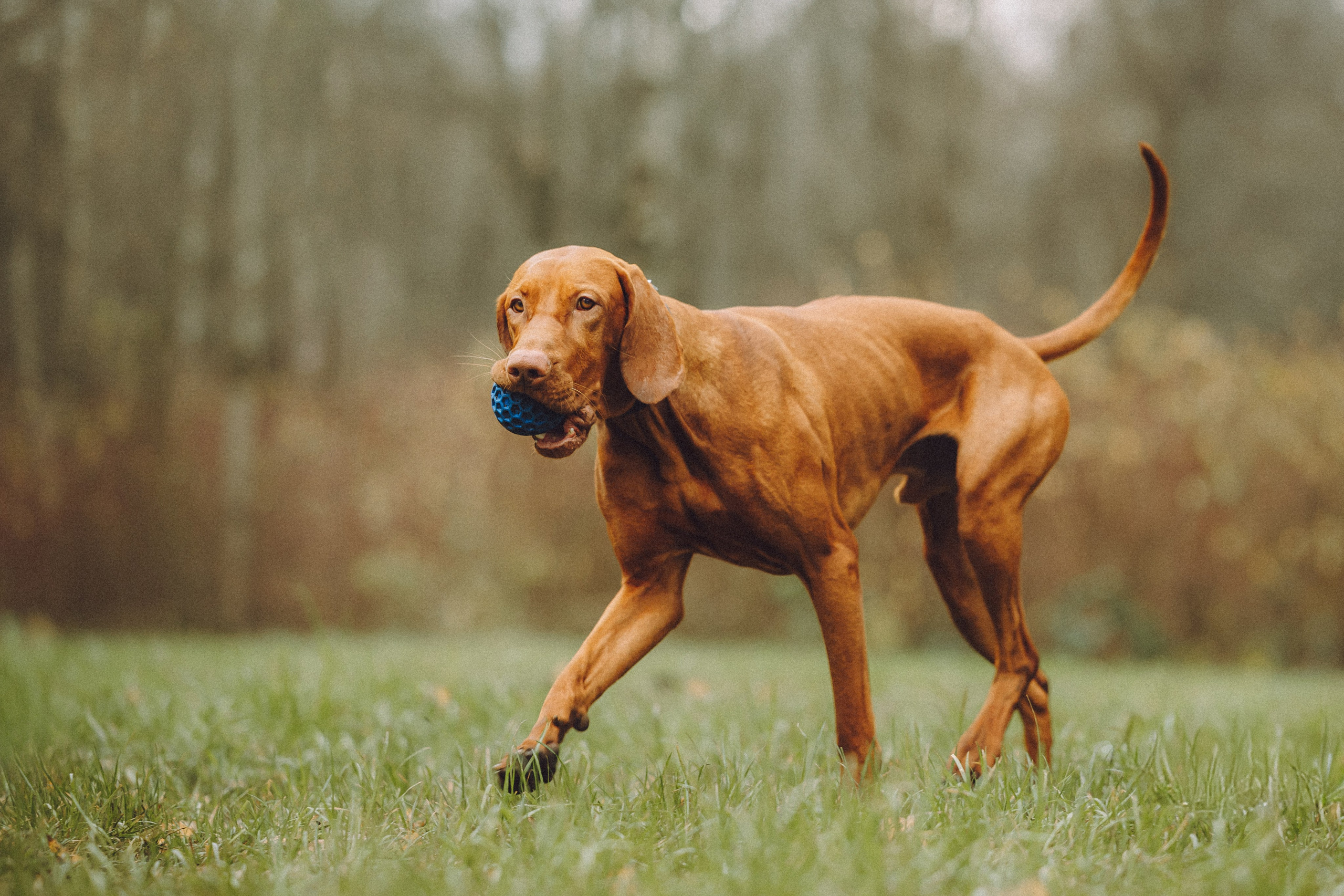 Дориан и его семья