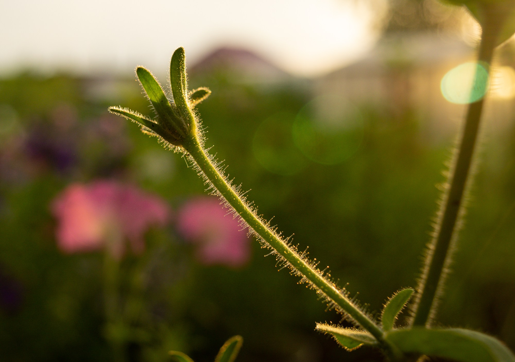 Разное. Репортажный фотограф г. Чита