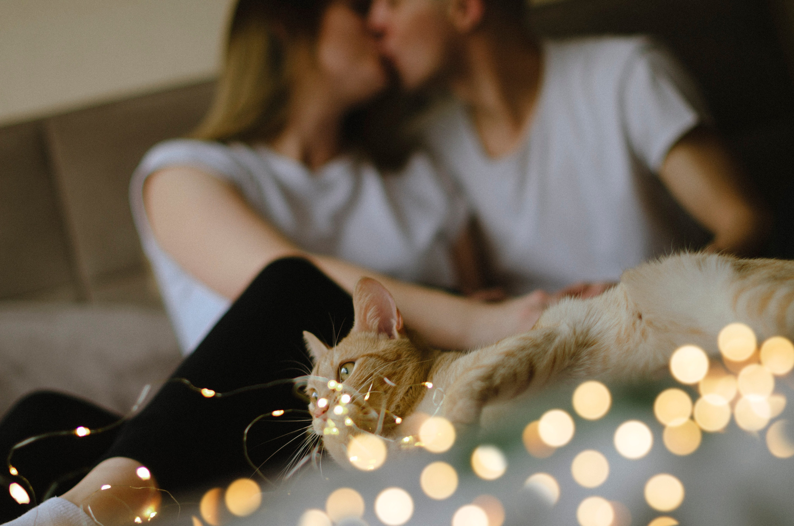 Домашняя уютная история. Lifestyle семейный и детский фотограф в Омске Иванова Екатерина