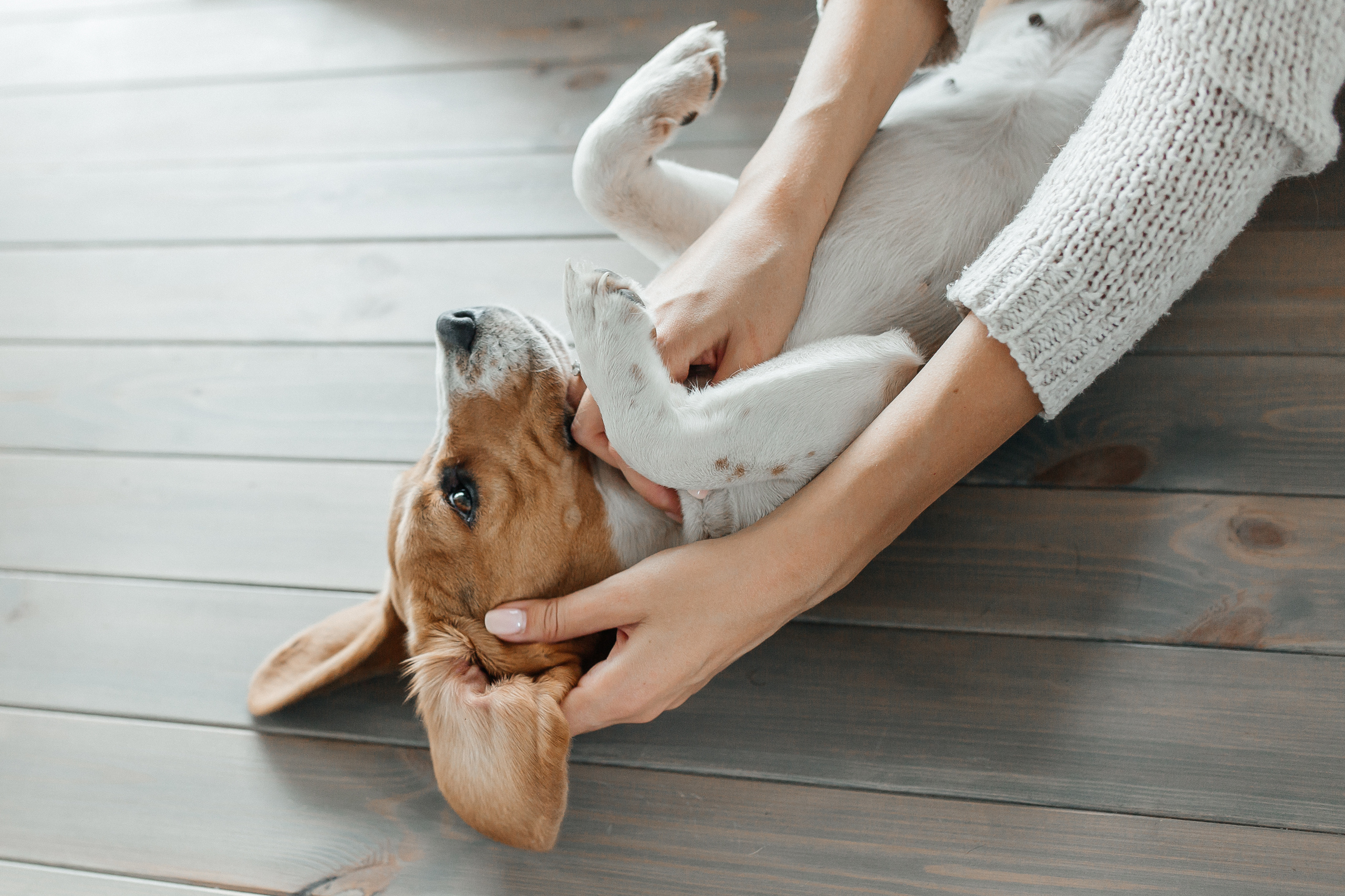 Семейная фотосессия на даче. Фото Радости. Свадебный и семейный фотограф в Москве Юлия Самойлова