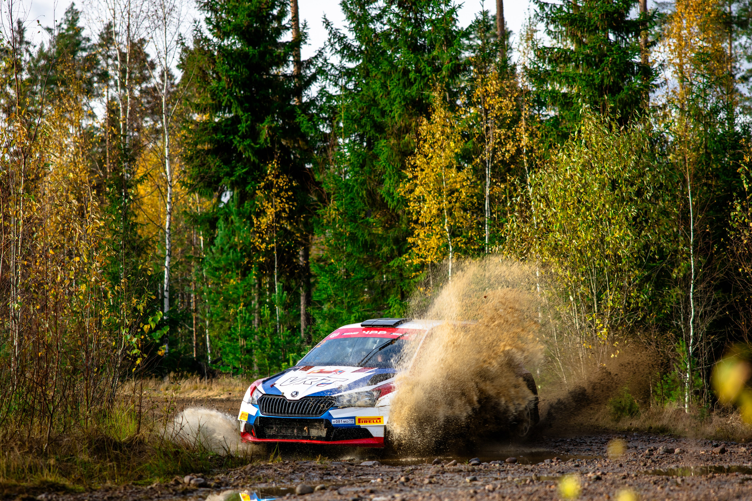 Ралли. Спорт и свет | Лина Арнаутова